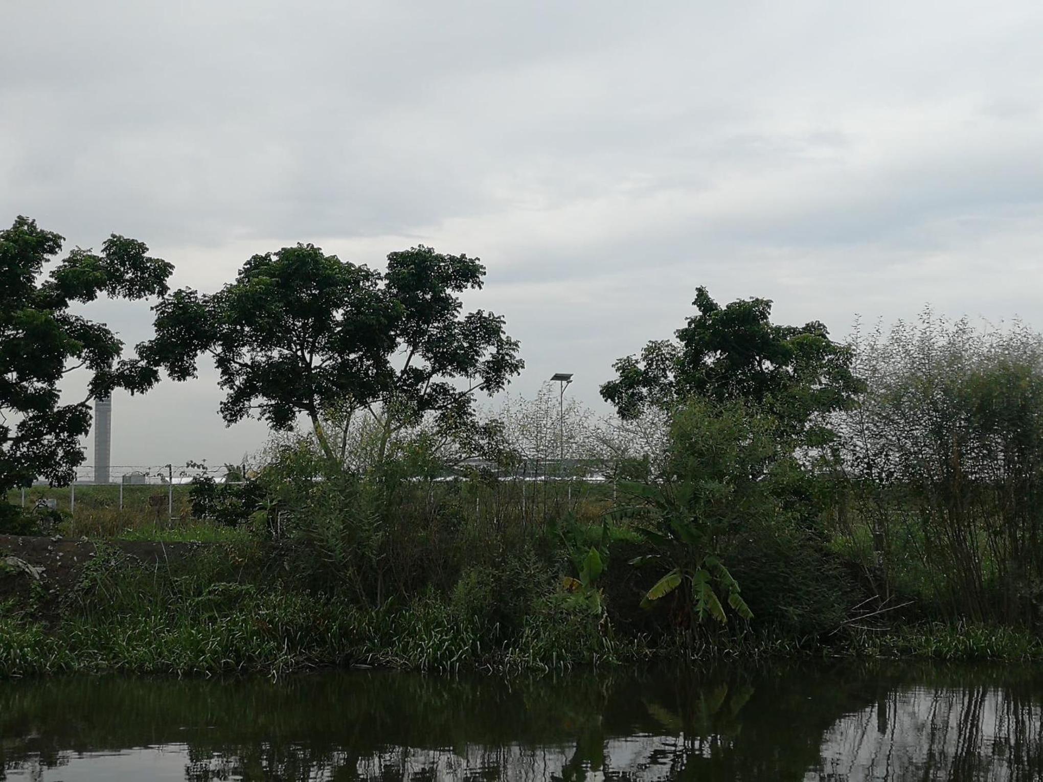 Photo 40
