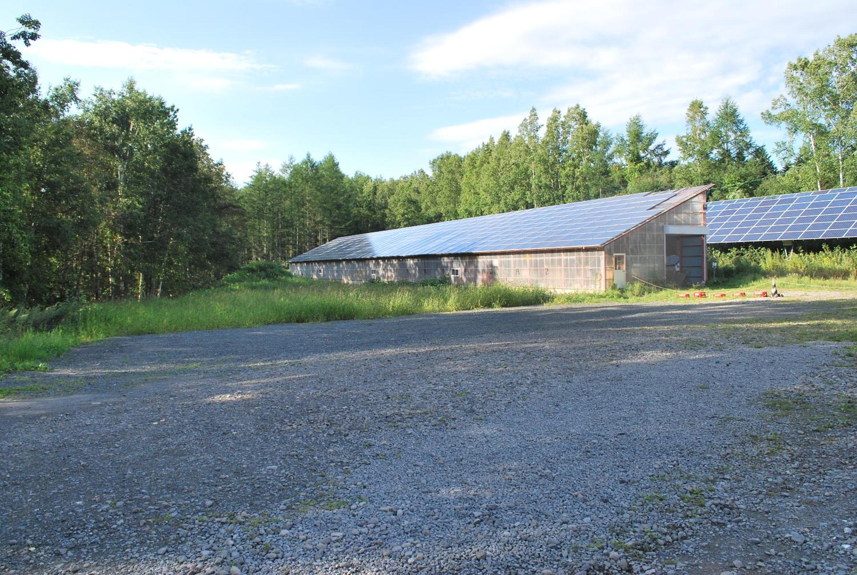 Auberge Ninguruforet, Biei - 23