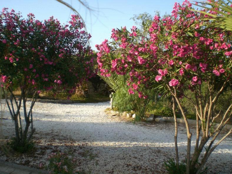 Cortijo Torreblanca Casa Rural Parque Natural Cabo de Gata