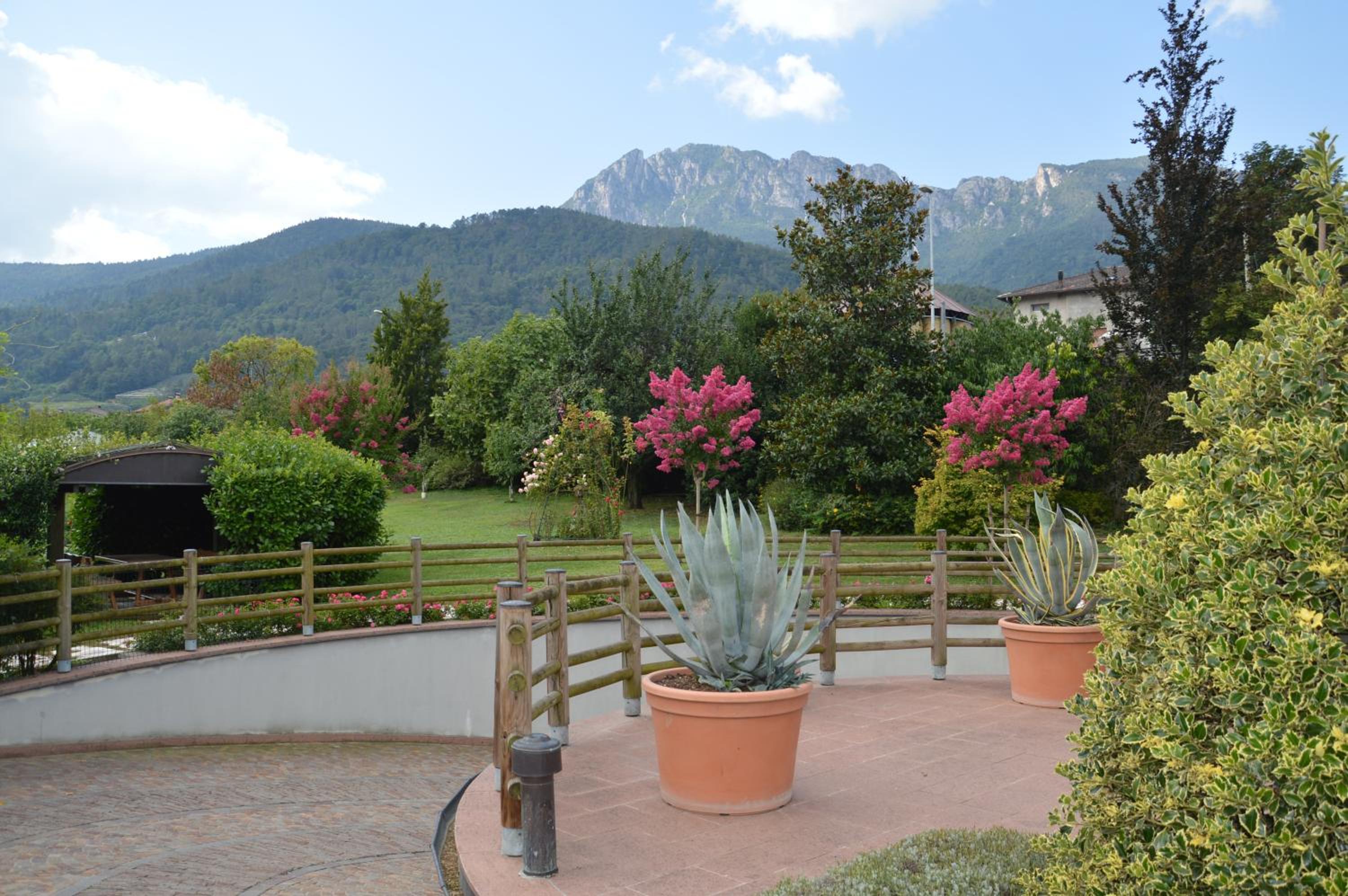 Il Gallo view 5