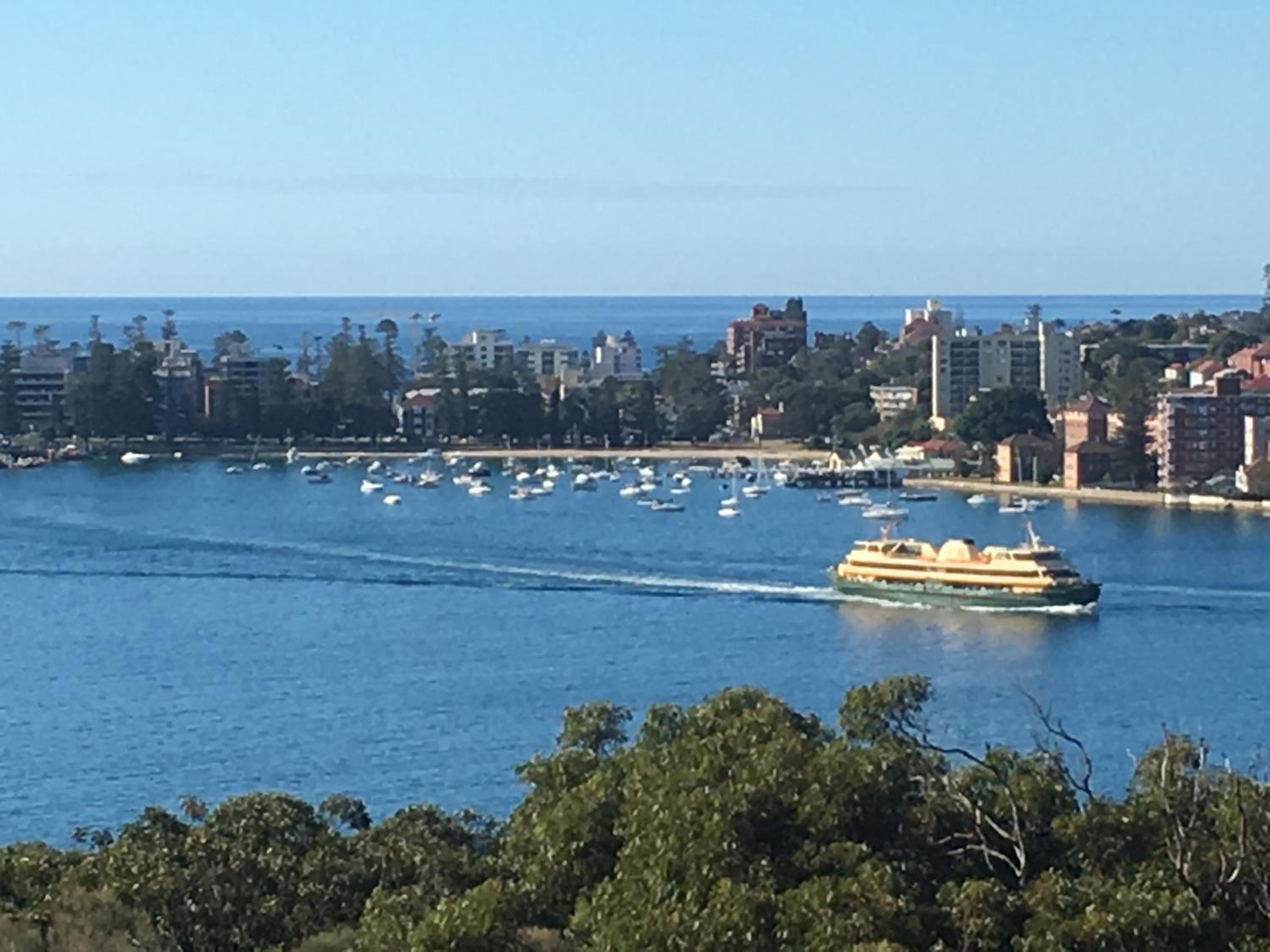 VIVID Sydney catch ferry from Manly to see best view of light show
