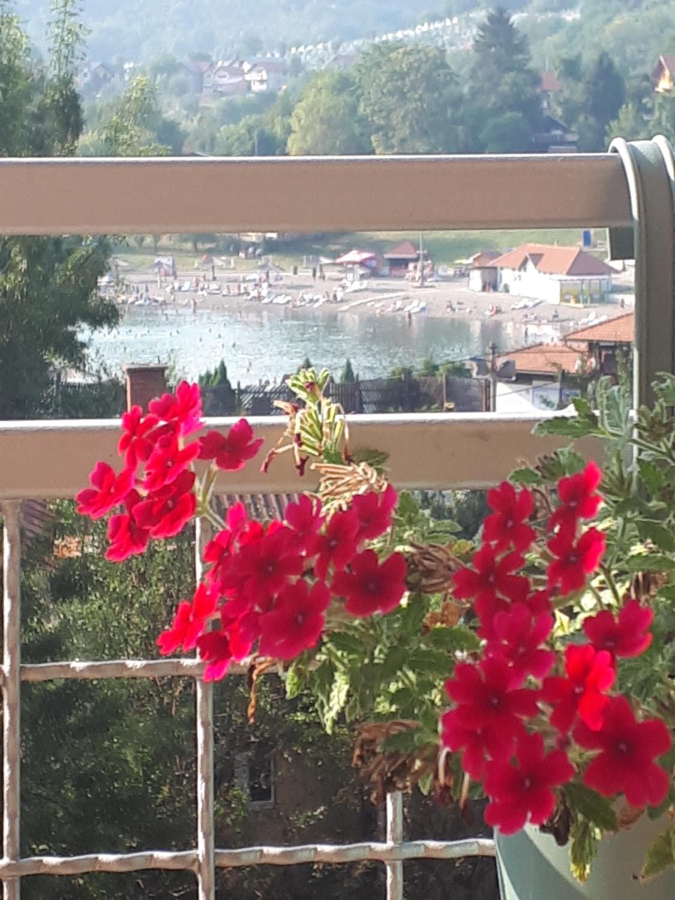 Apartman Diva view 4
