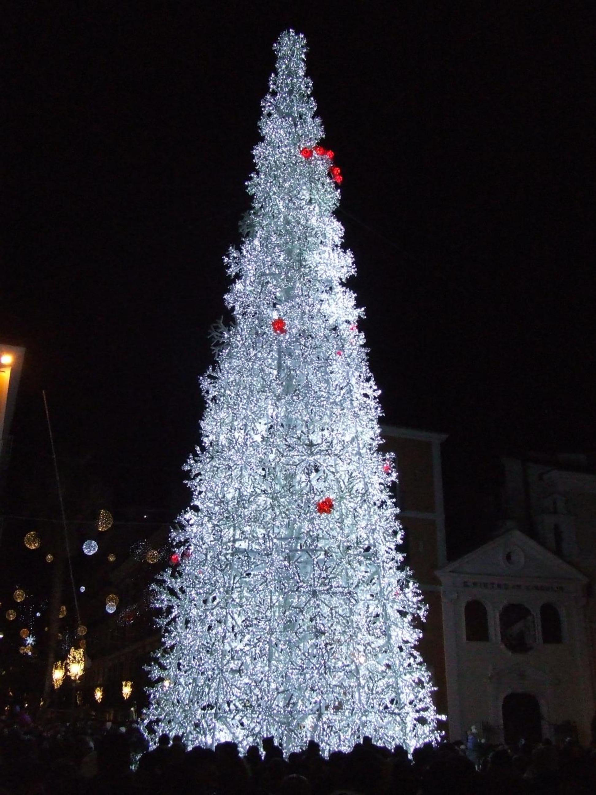 Photo 61