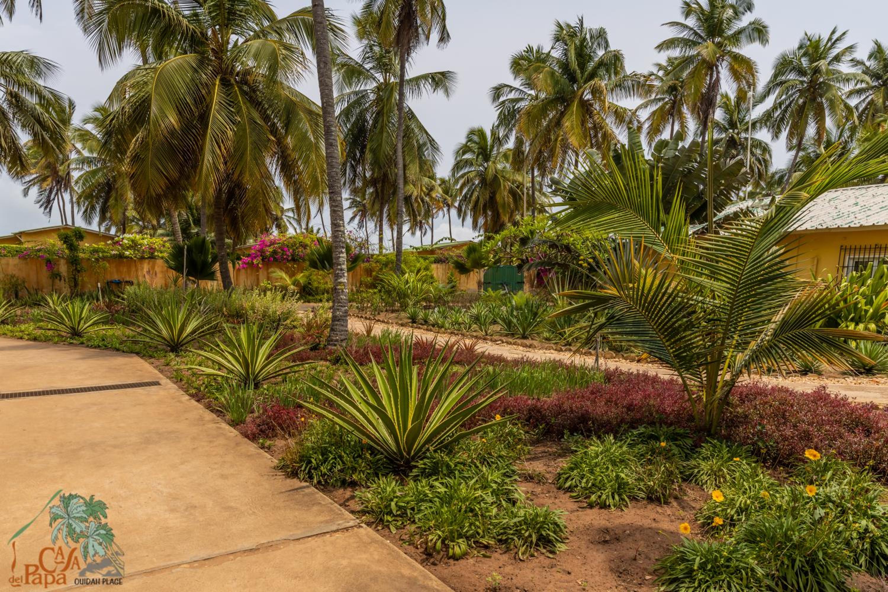 Casa Del Papa Resort