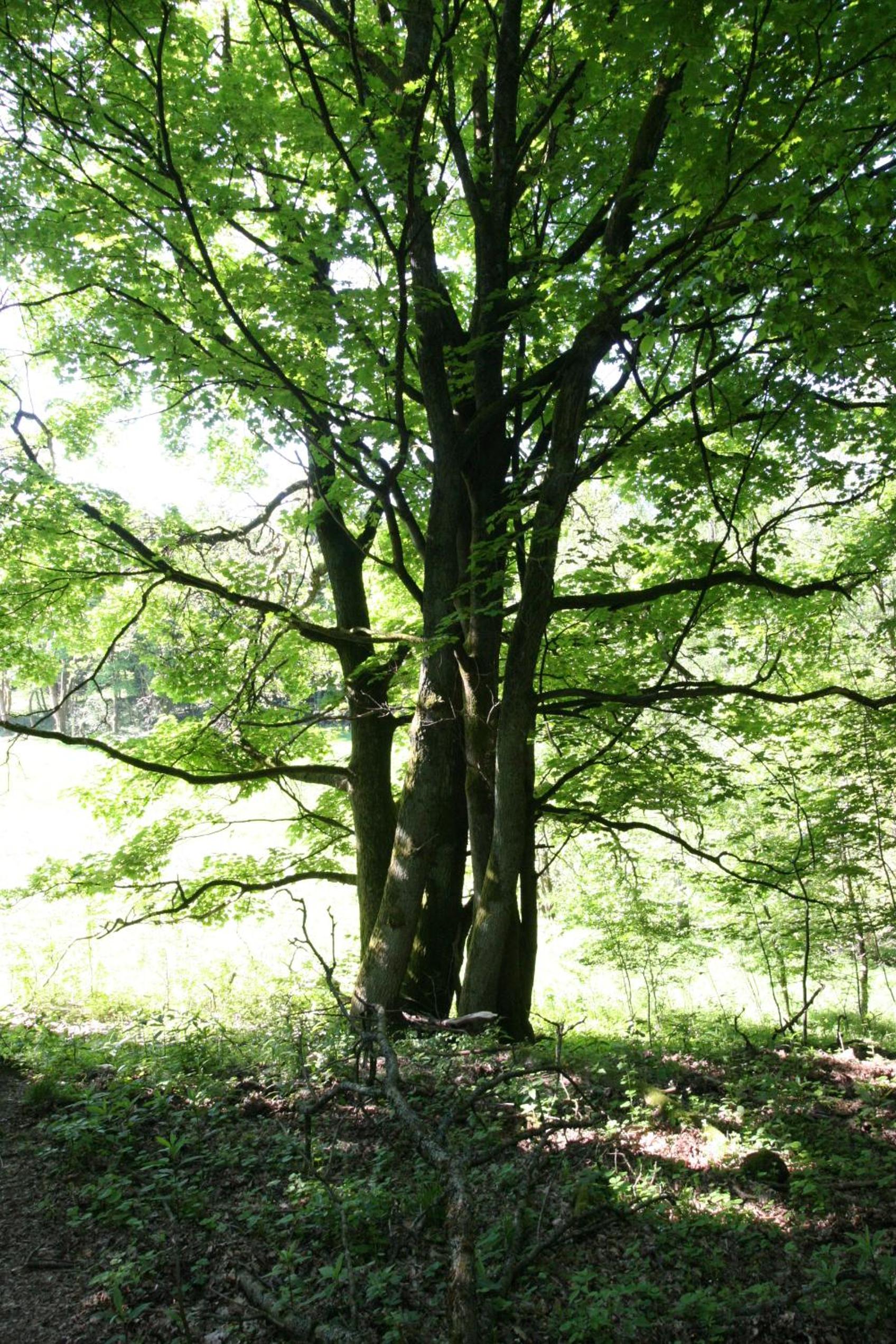 Photo 20