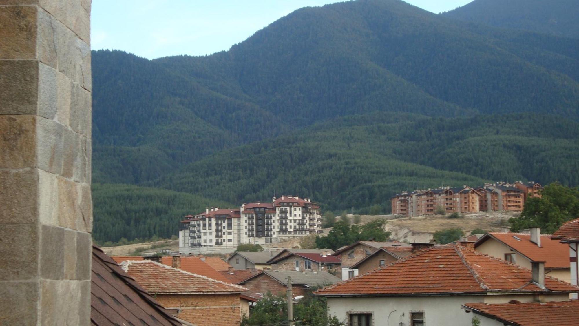 Photo 46