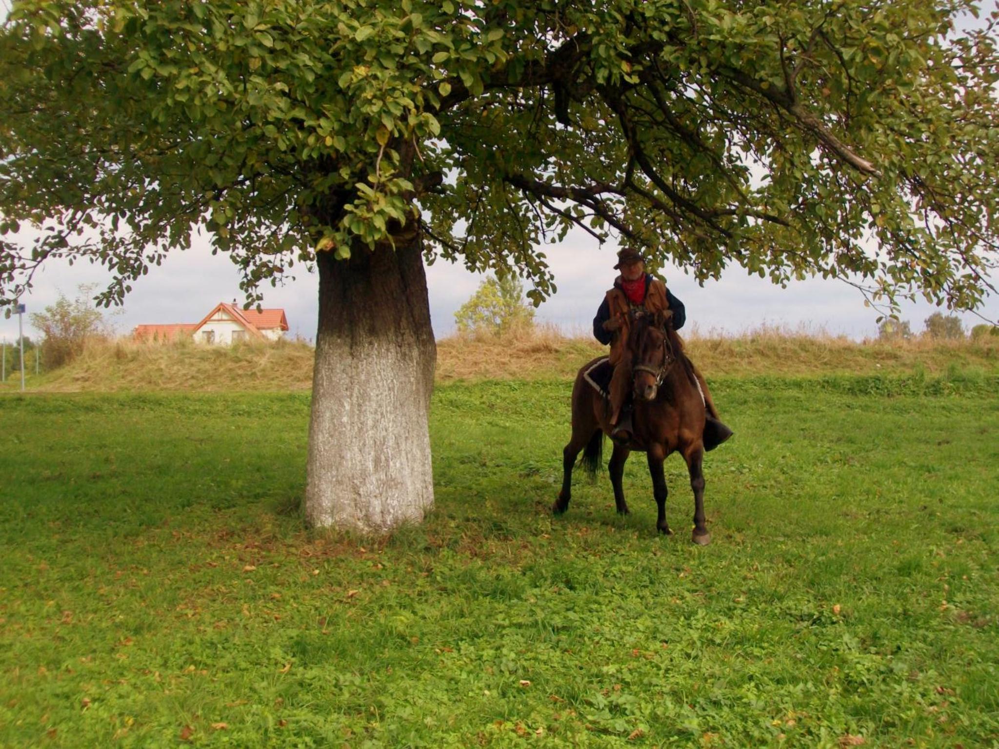 Photo 46