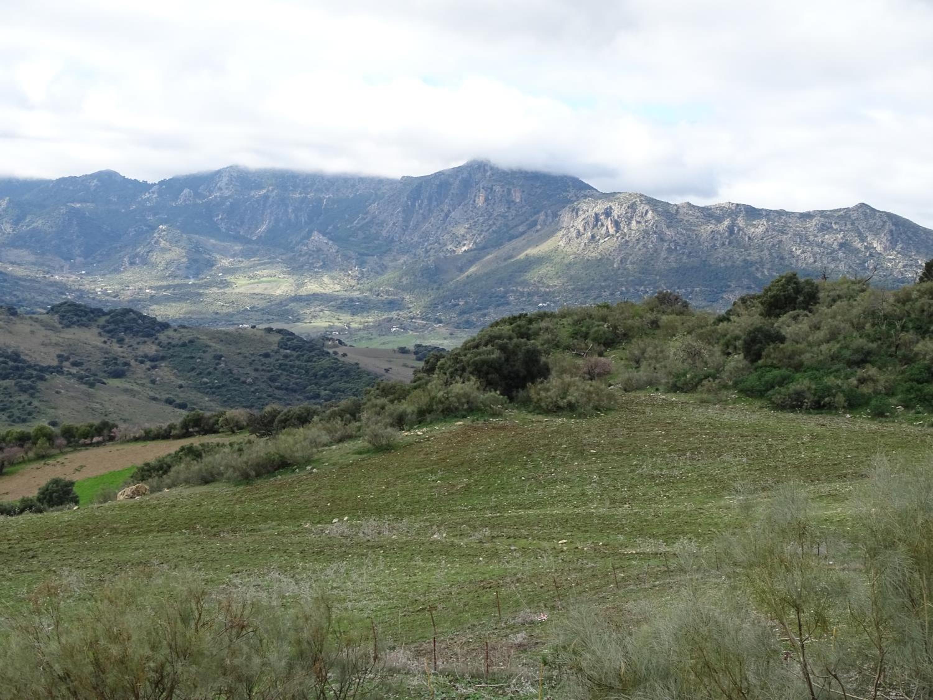 cortijo la laguna view 3