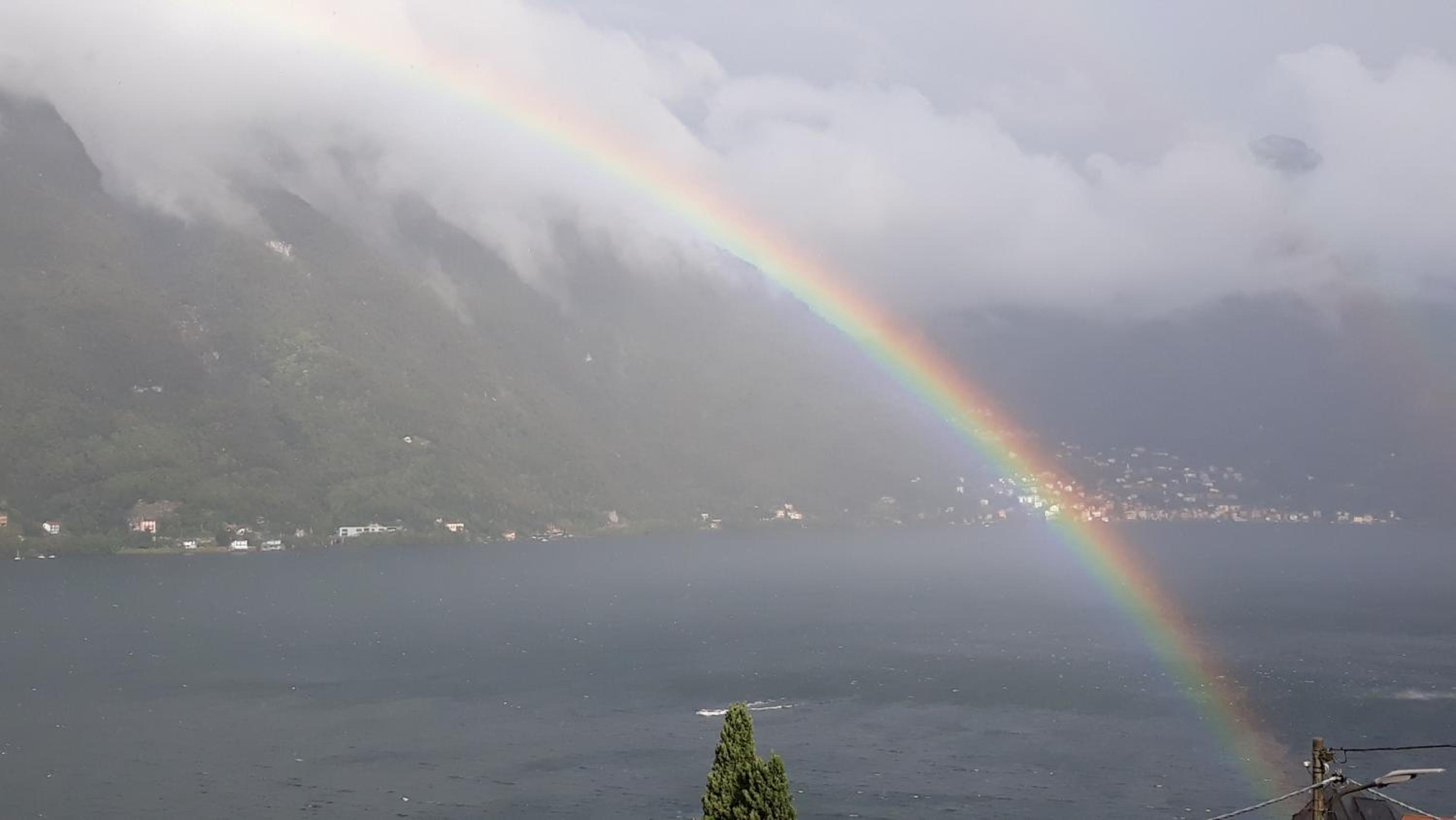 Gli Ulivi di Nesso view 5