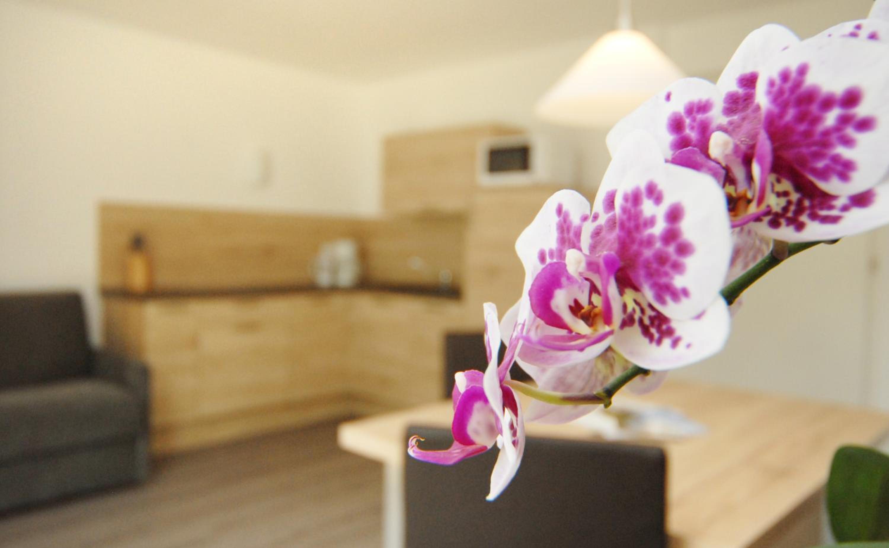 Appartment Charly