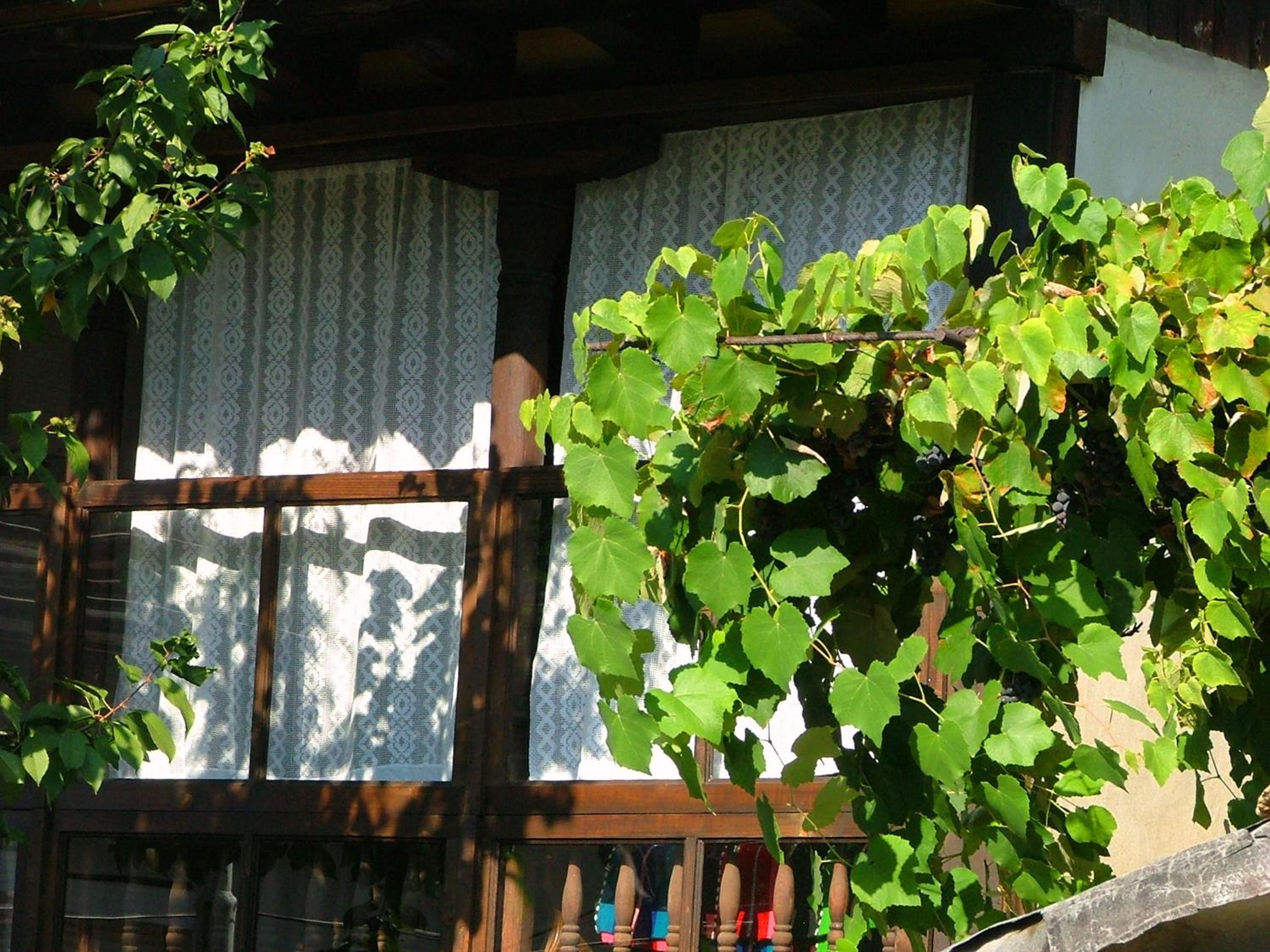 The Tinkov house in Lovech