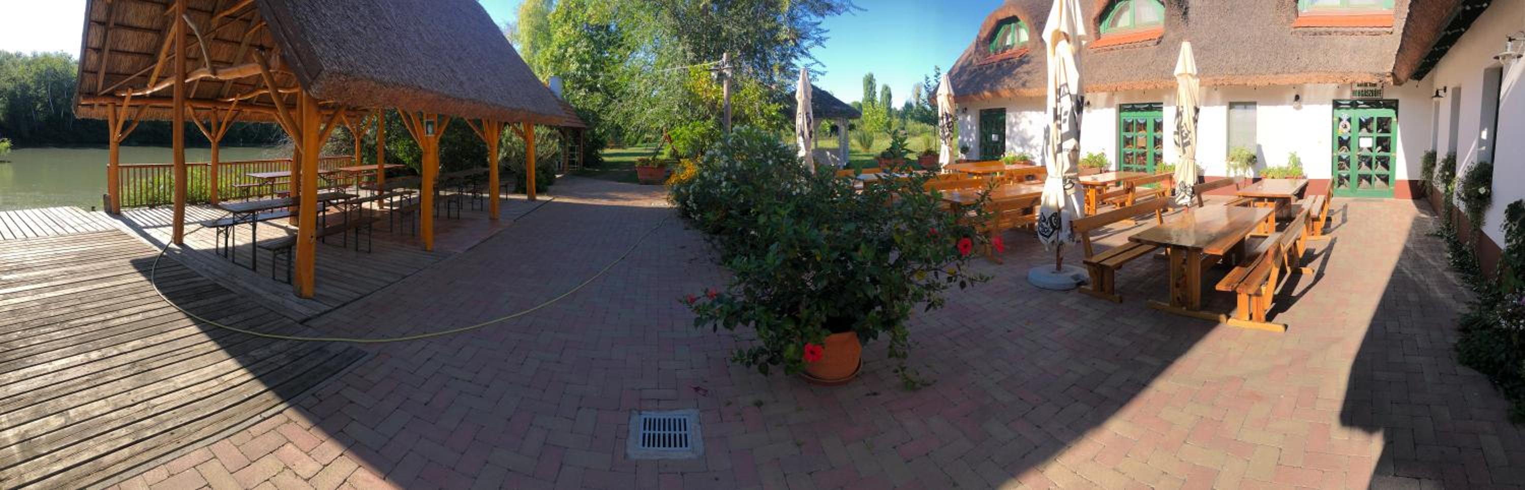 Photo 41