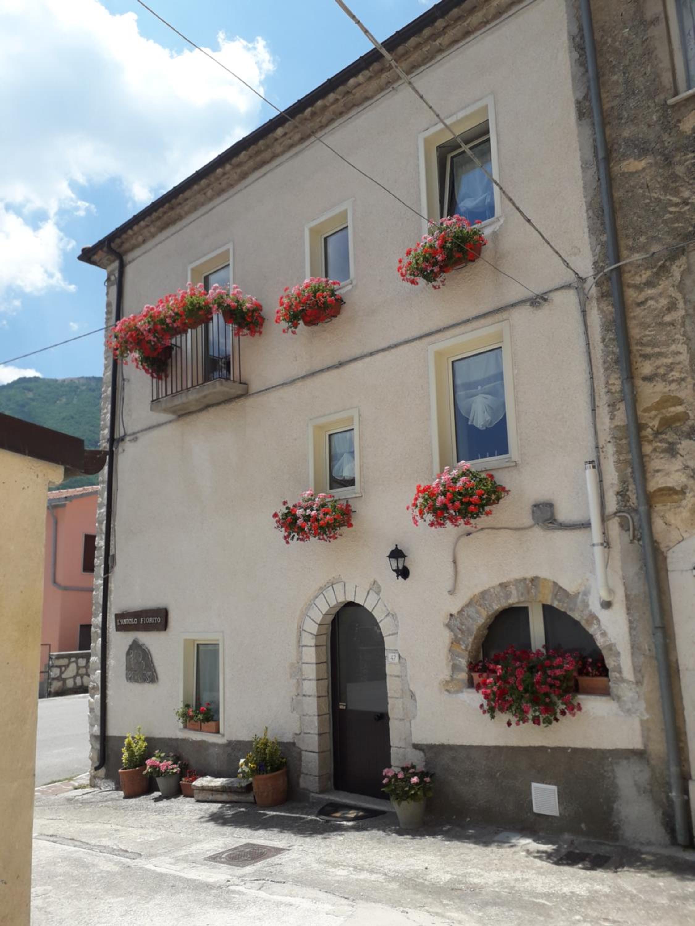 Photo 21