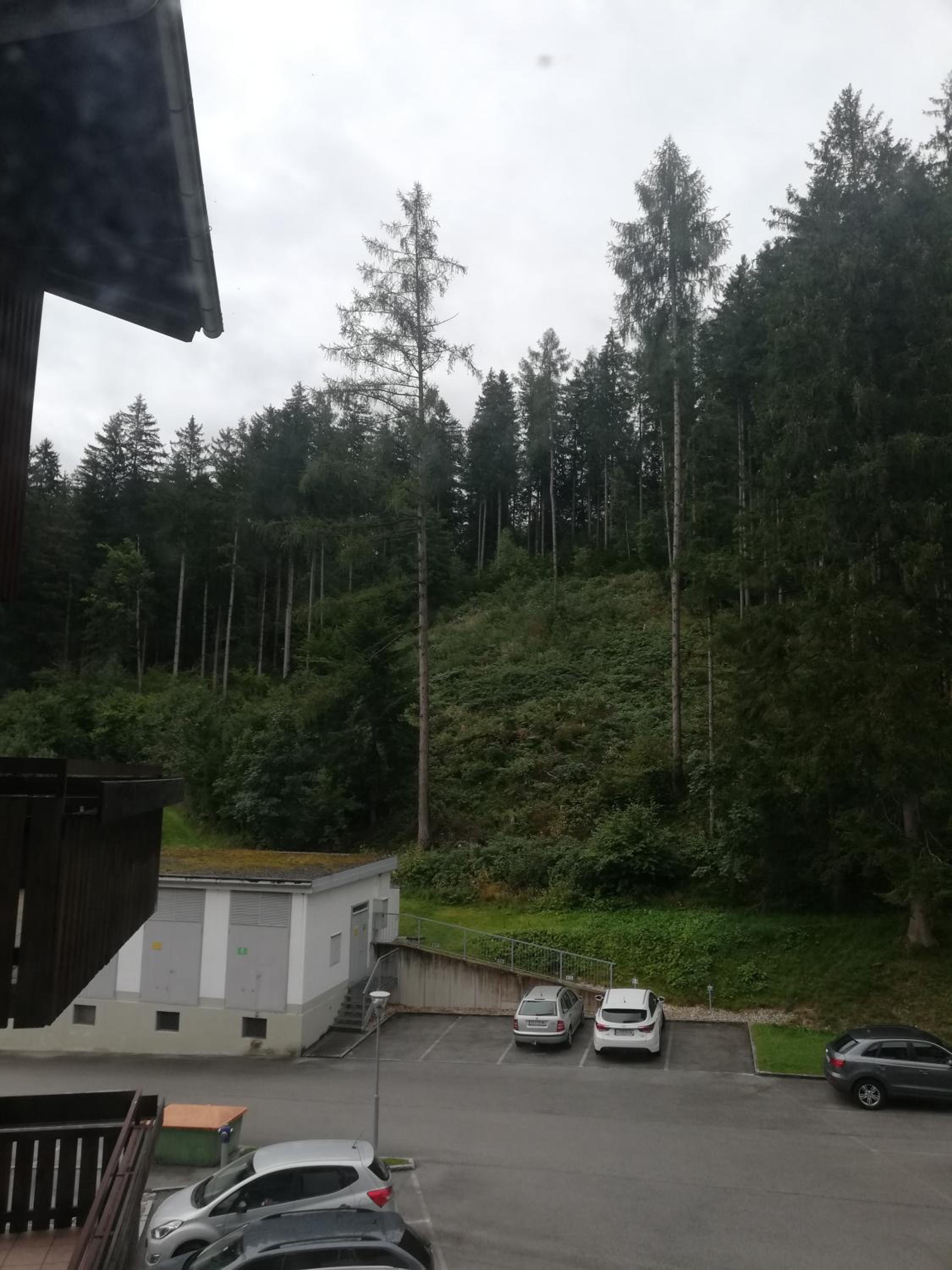 Wohlfühl - Appartement Fewo Pichlarn Irdning Ferienwohnung