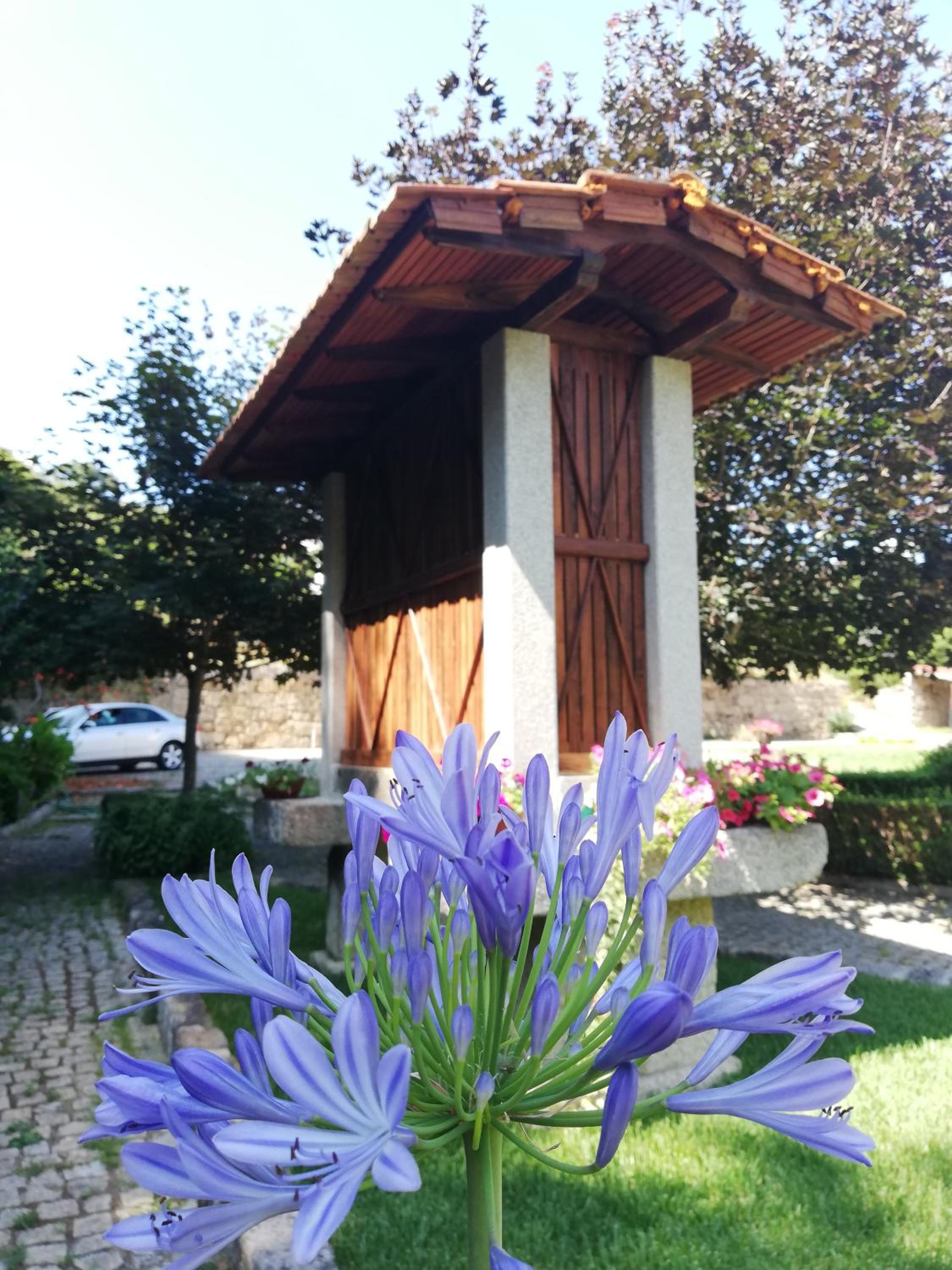 THE RIVER HOUSE - Termas Guesthouse view 5