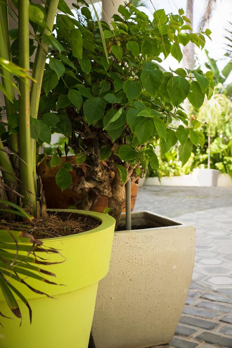 Numero Uno Beach House - Property Image 105