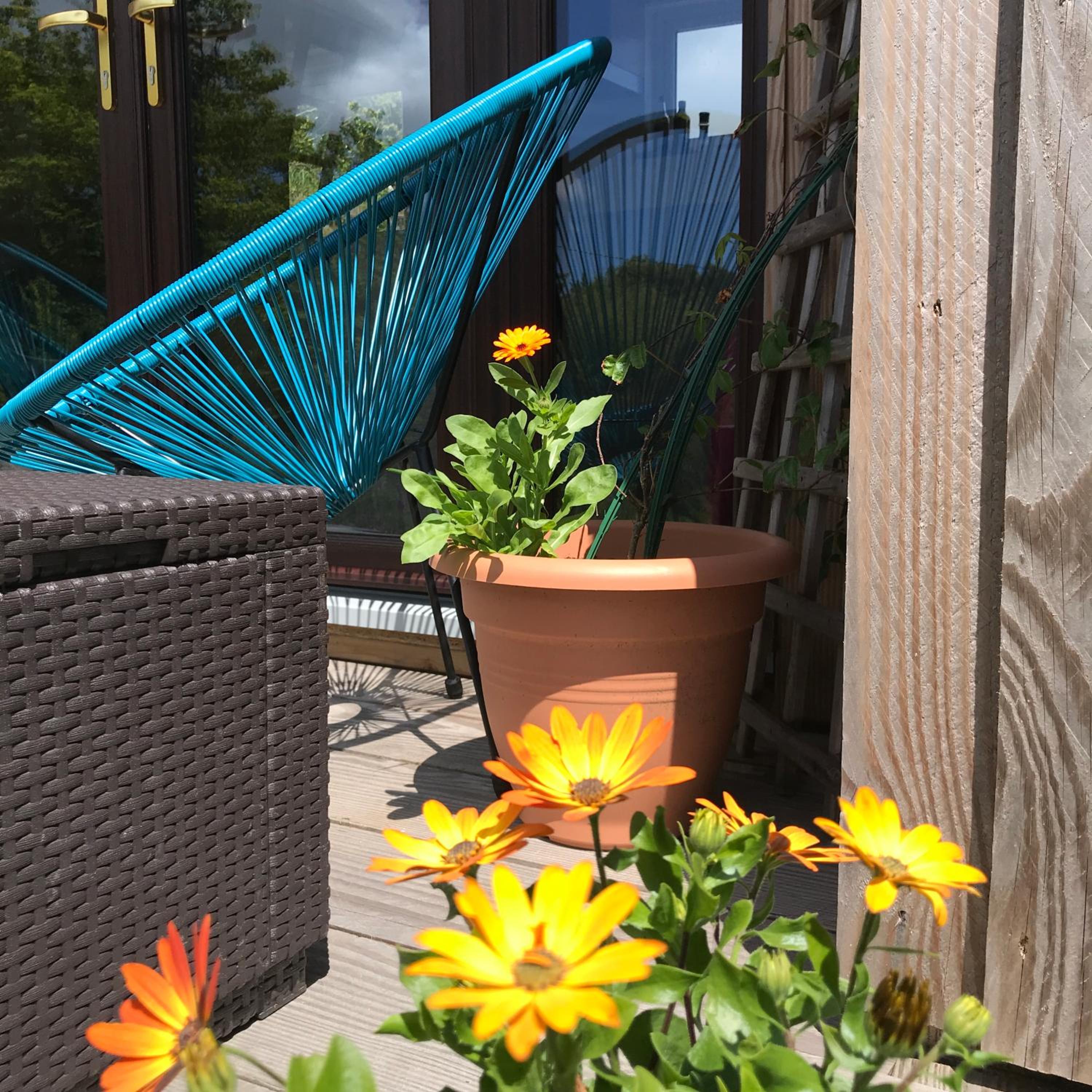 Goleen Harbour Tiny House view 5