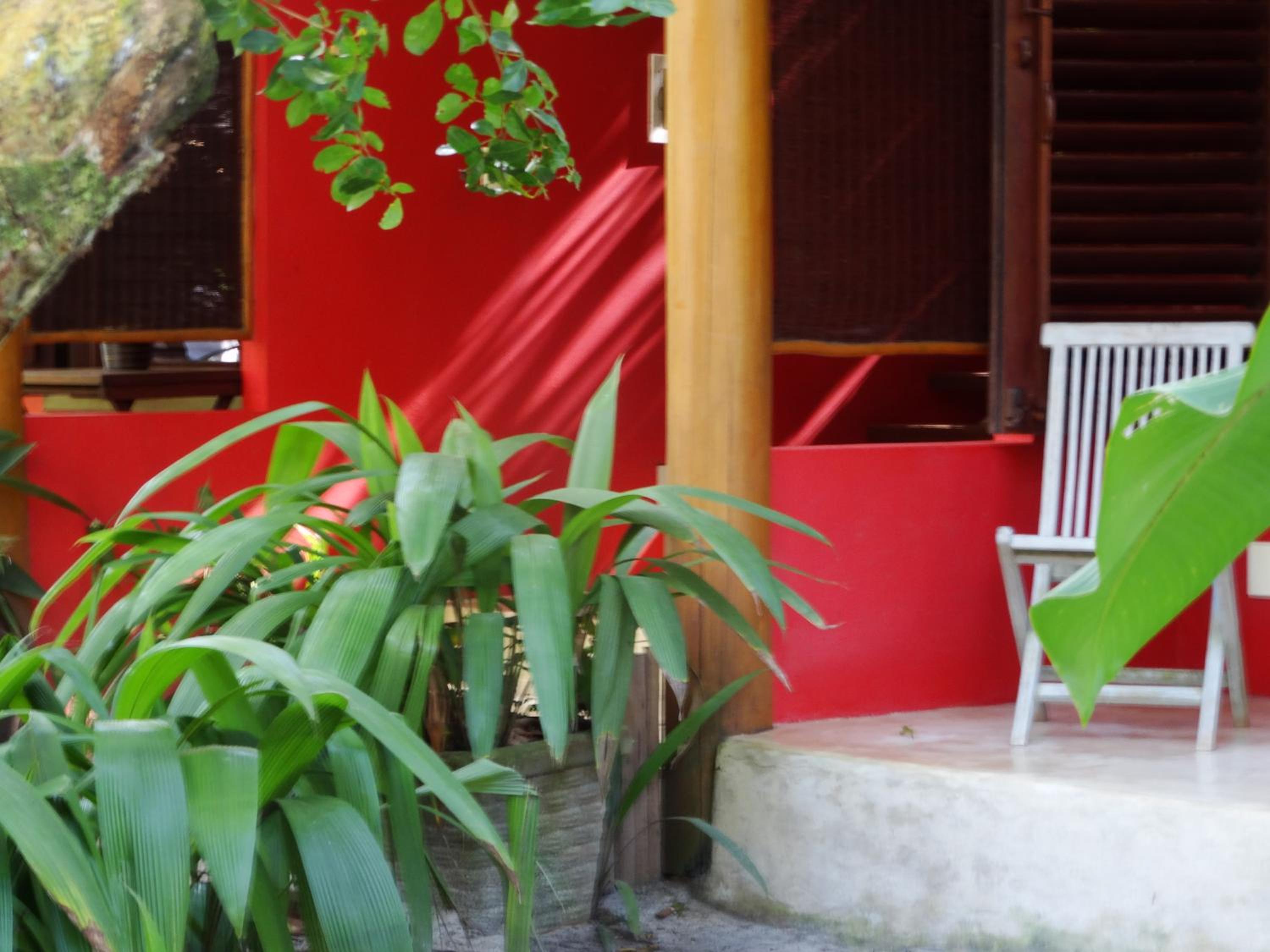 Photo 41