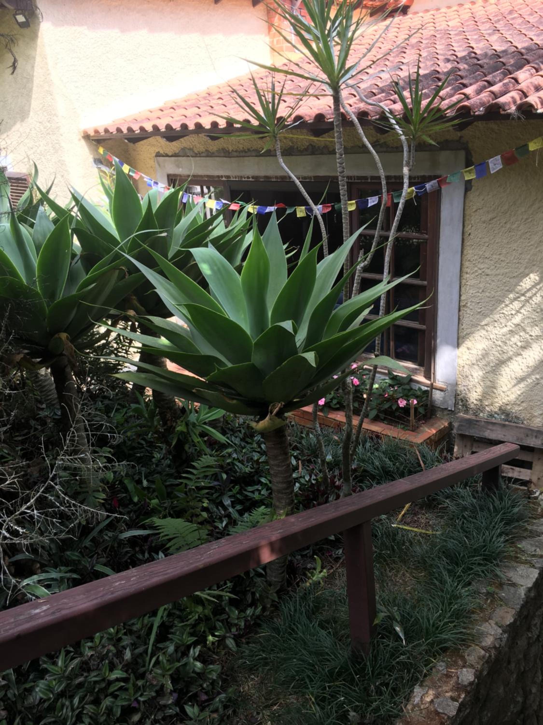 CASA RANXOXITA