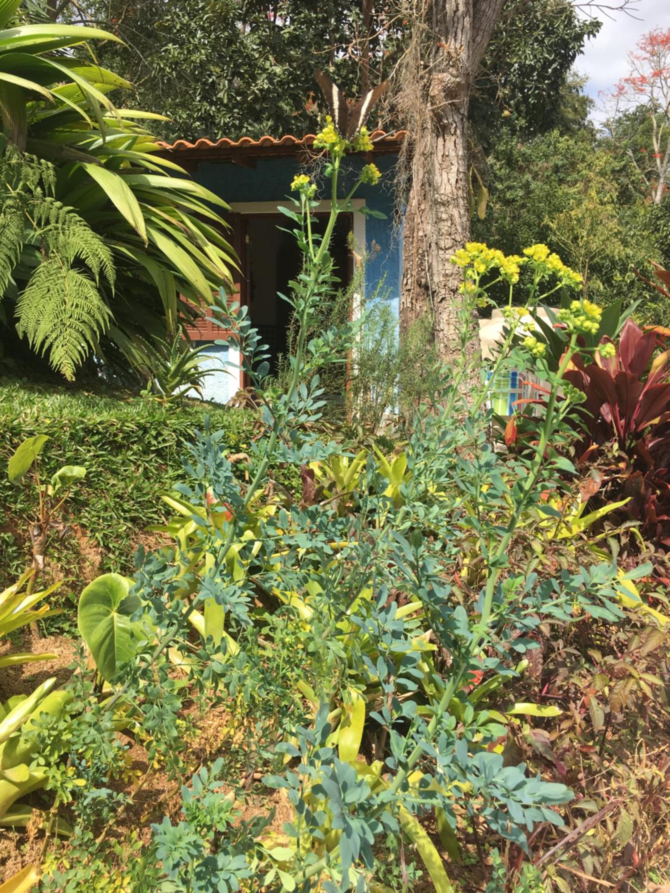 CASA RANXOXITA
