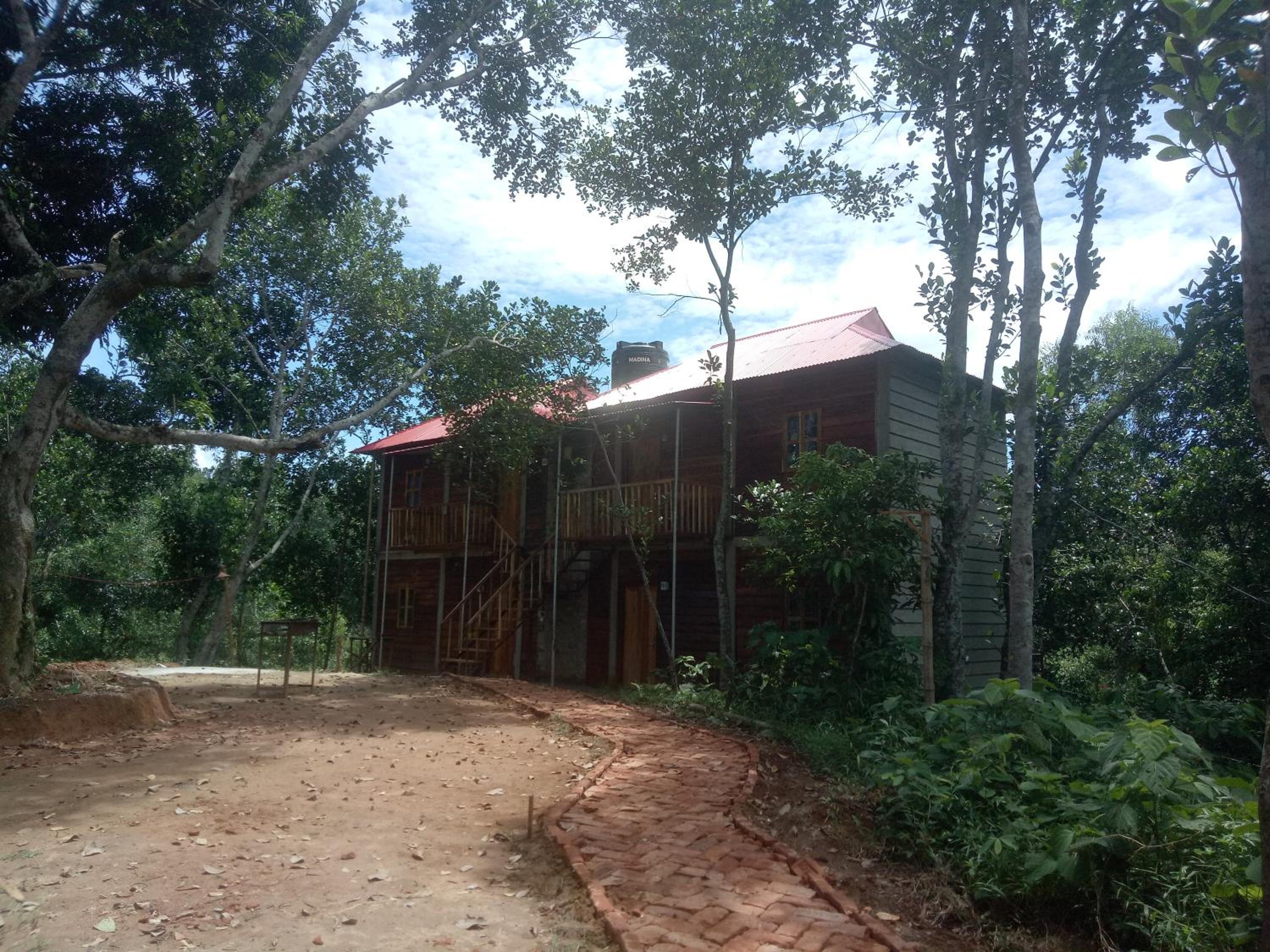 Jungle cottage