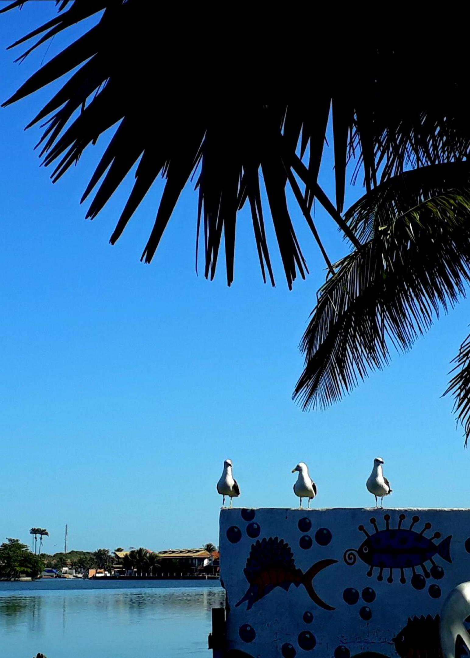De Boa na Lagoa Cabo Frio, Praias Peró, Conchas e Ilha do Japonês