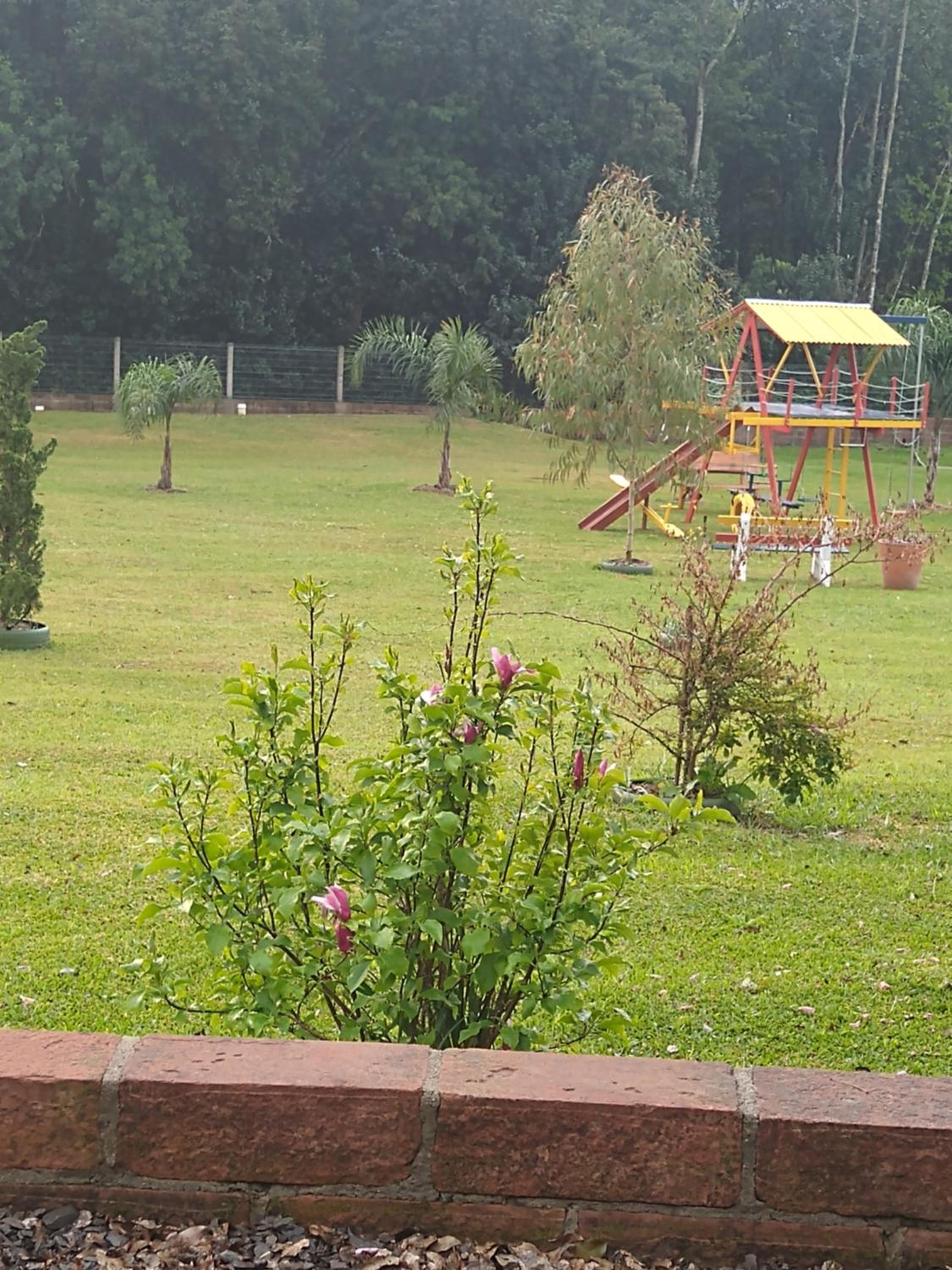 Photo 41