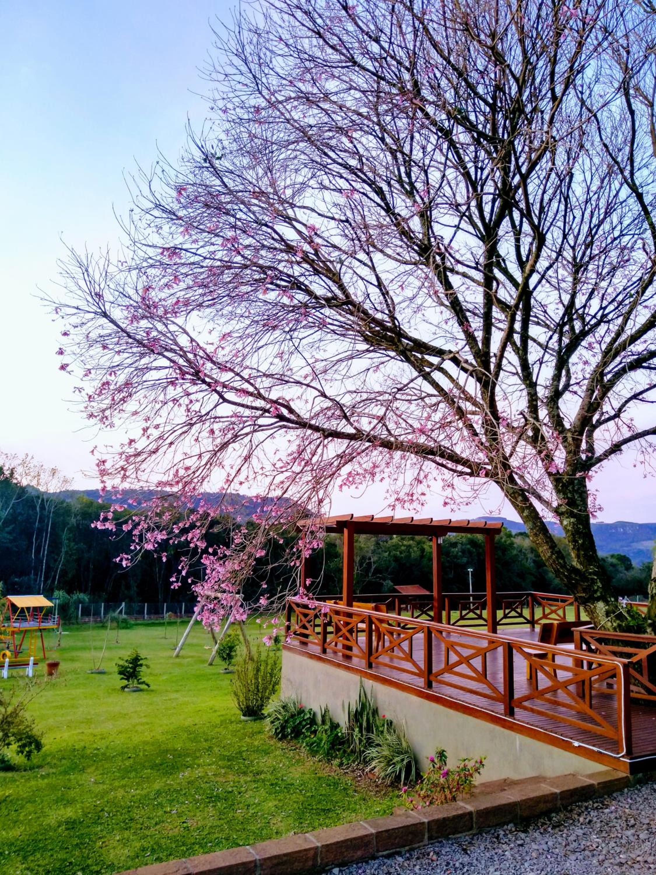 Pousada Villa Romantica view 5