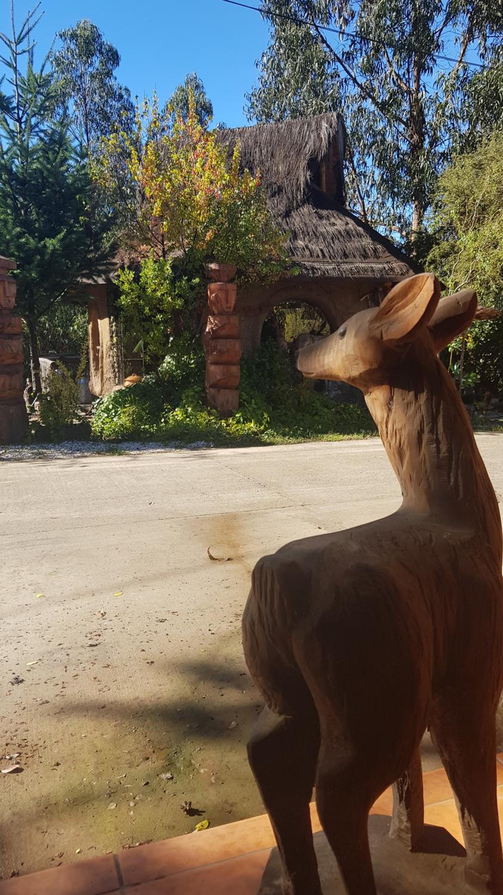 Cabañas Rukas Licantén
