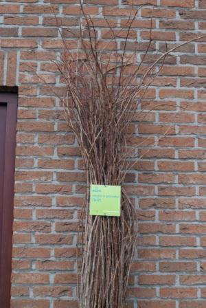 't Bruggeske
