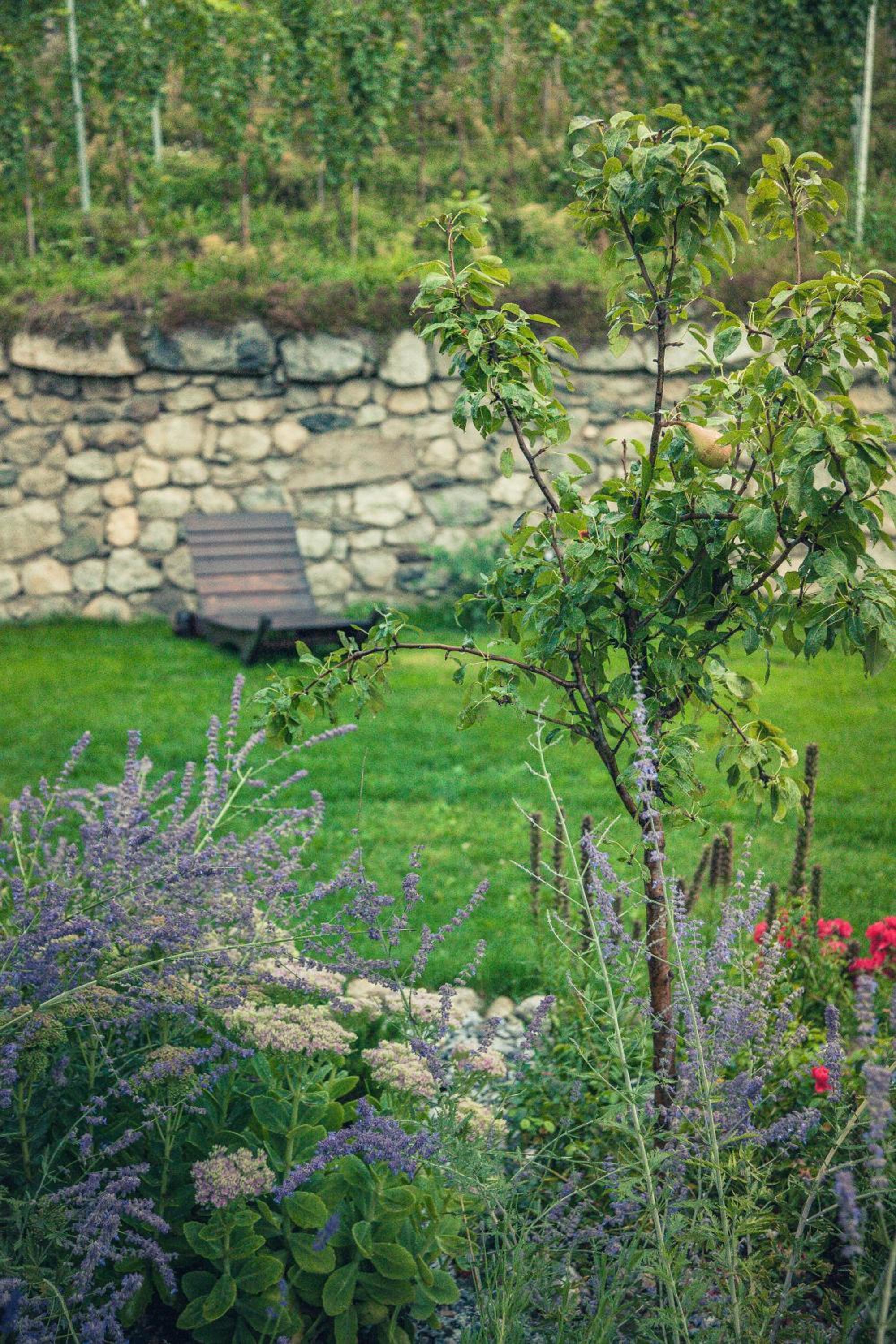 Appartements Mayrhof, photo 31