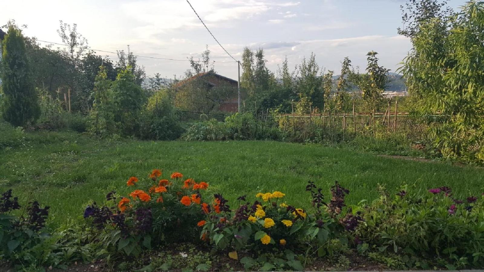 Ilidza Nature Home