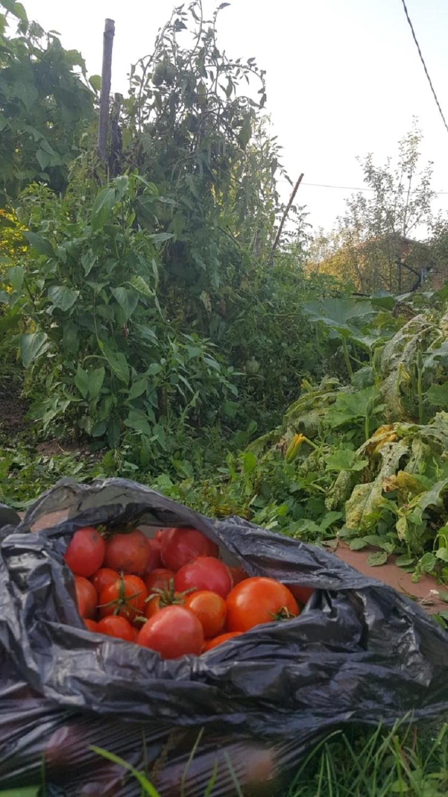 Ilidza Nature Home