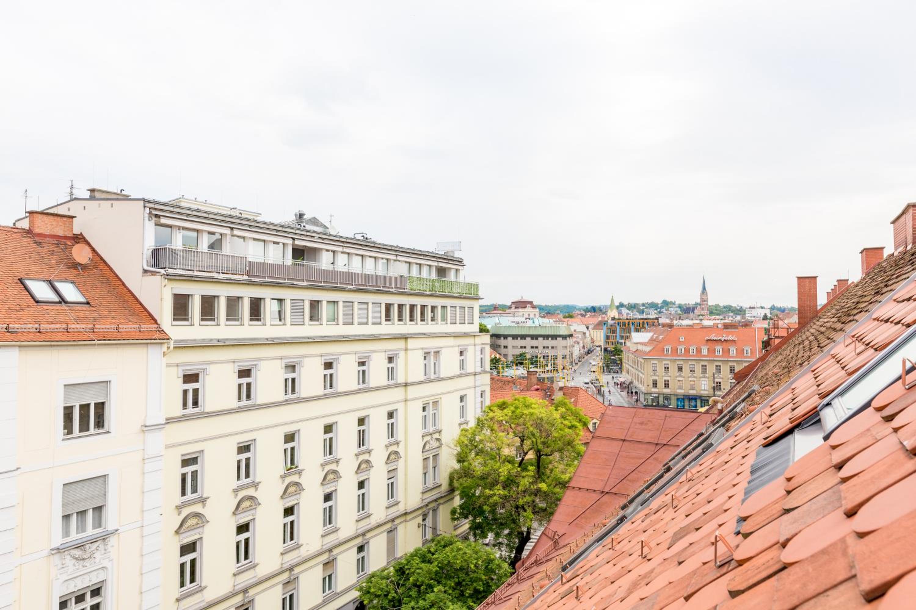 Große Dachgeschosswohnung im Herzen von Graz view 3