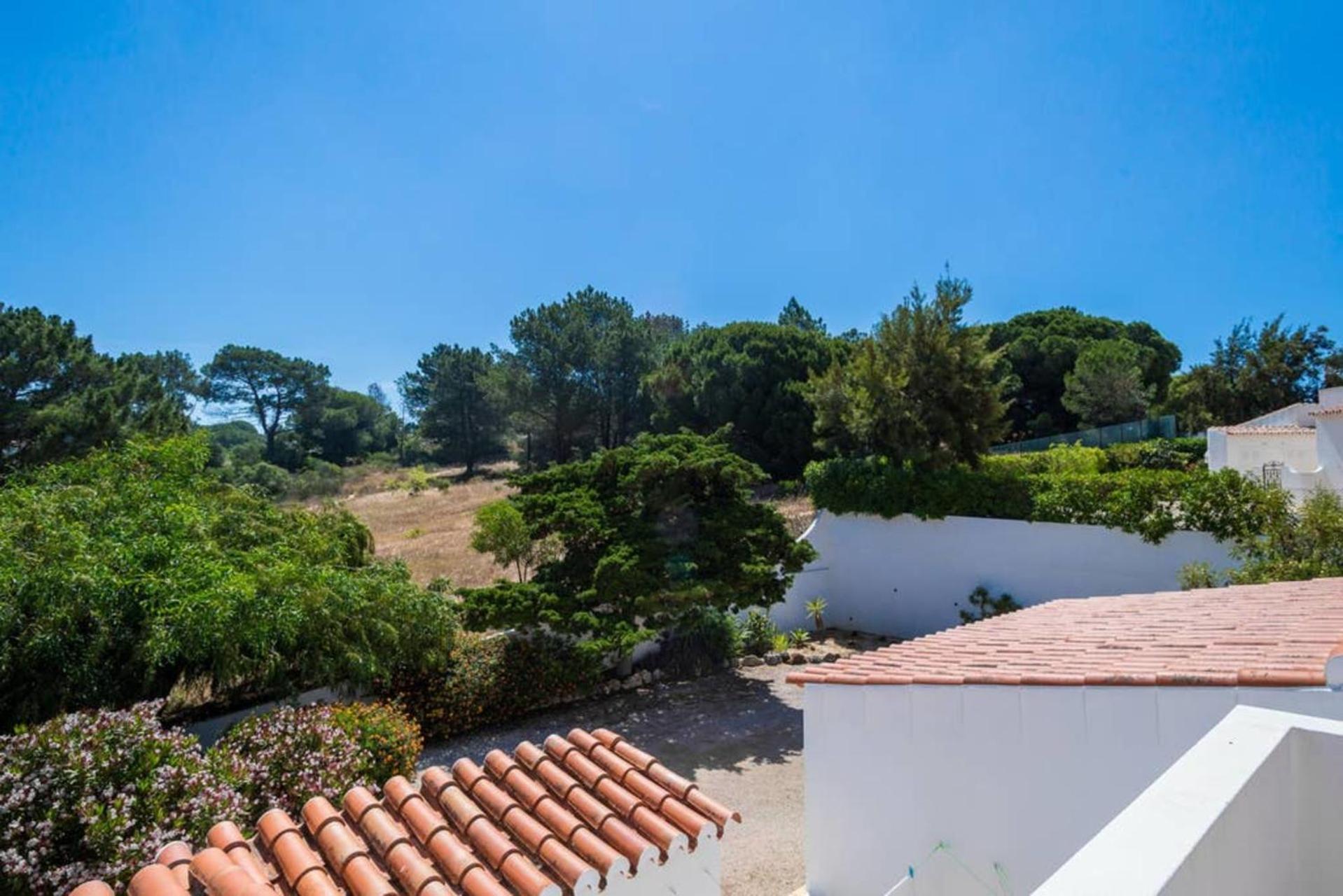 Casa dos Cães