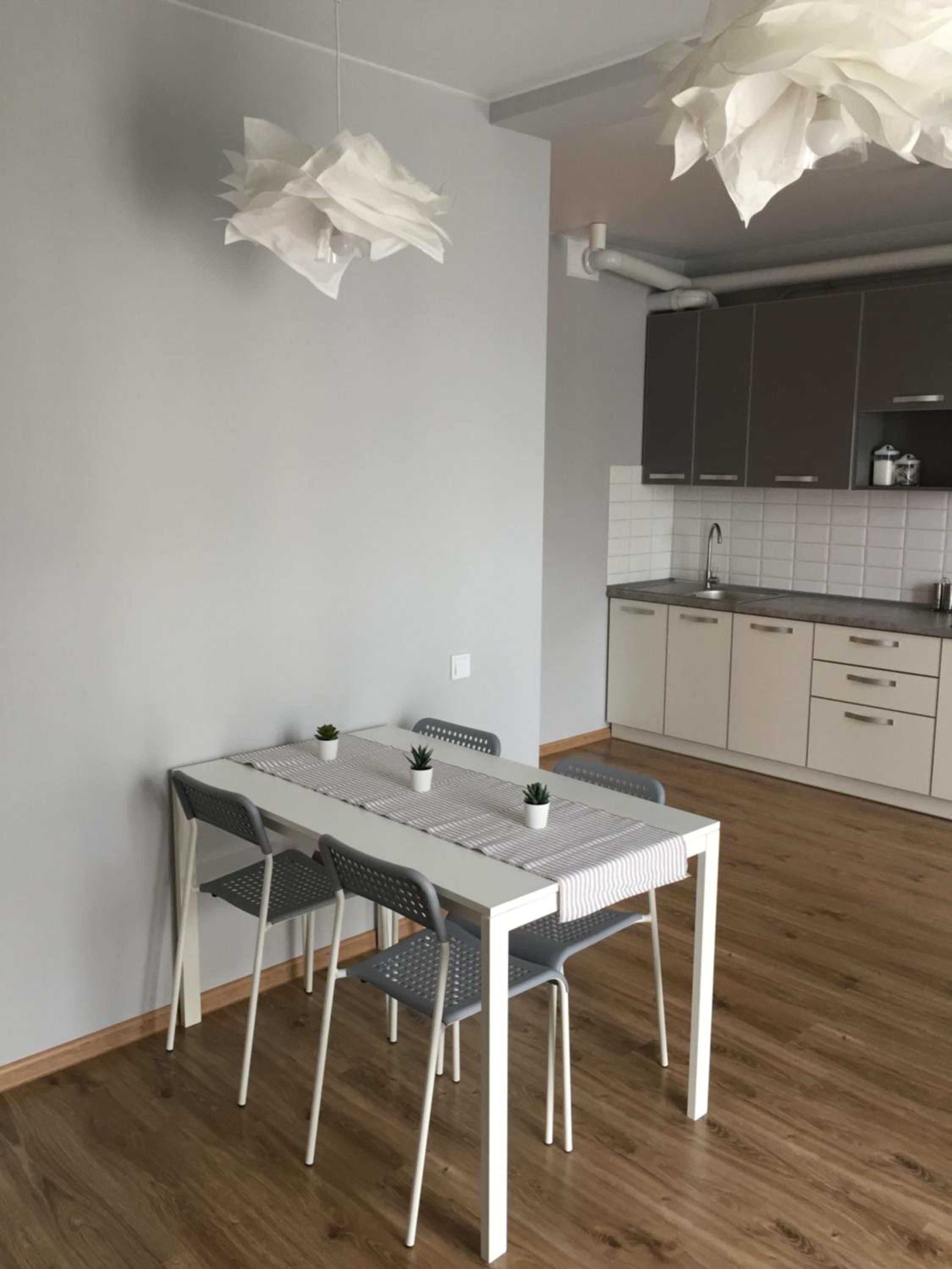 Scandinavian apartment view 5