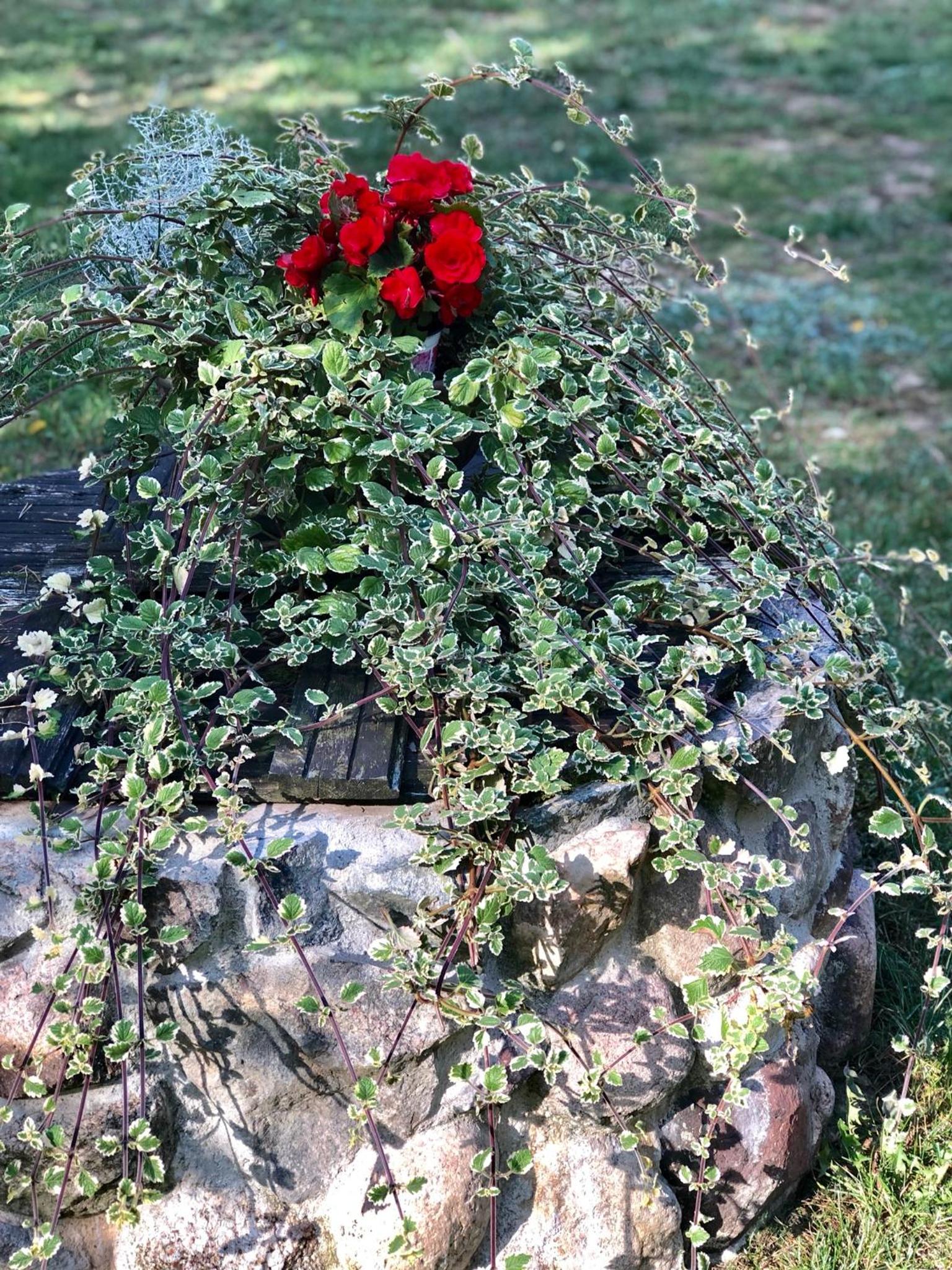 Photo 48