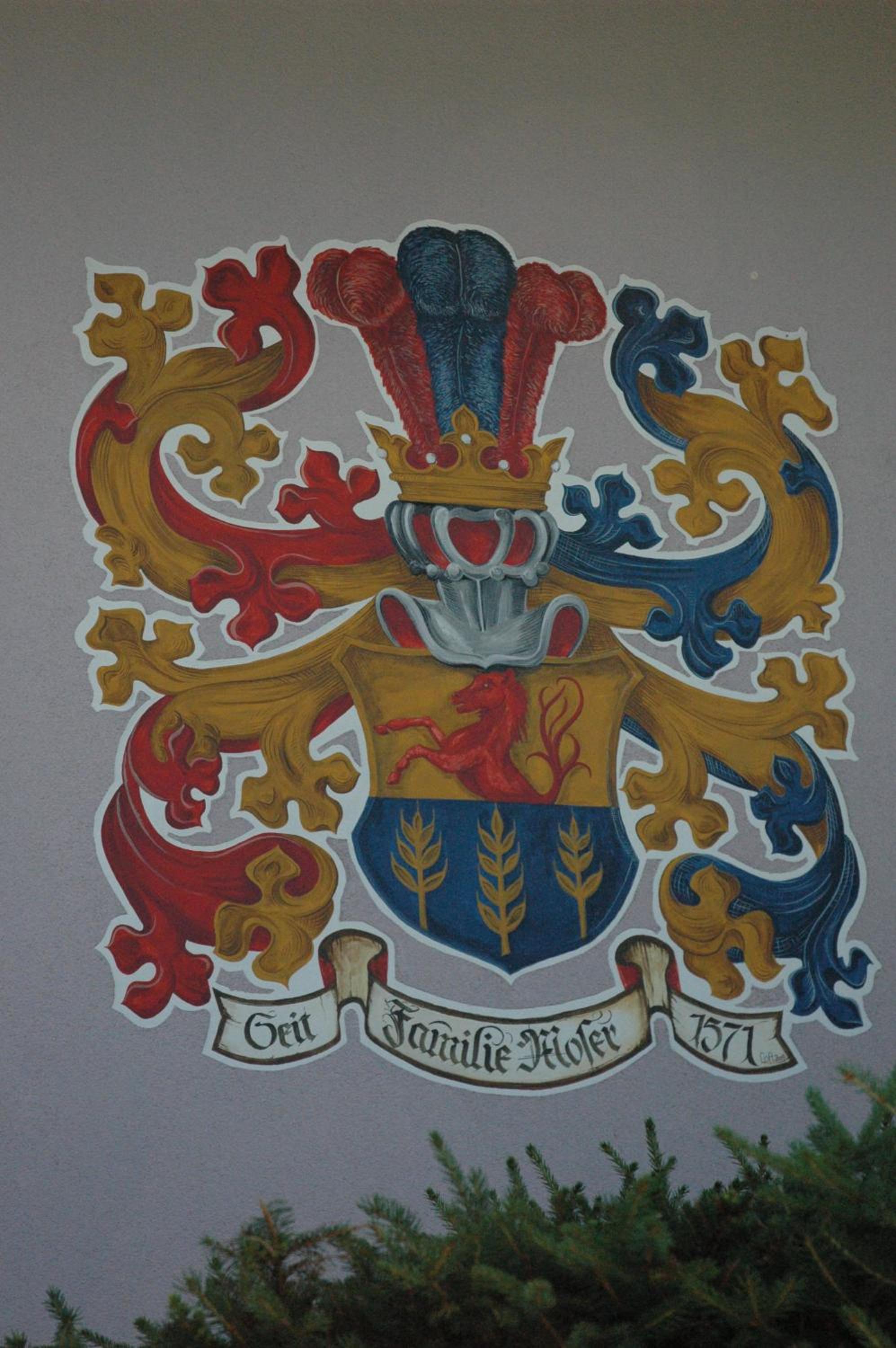 Photo 65