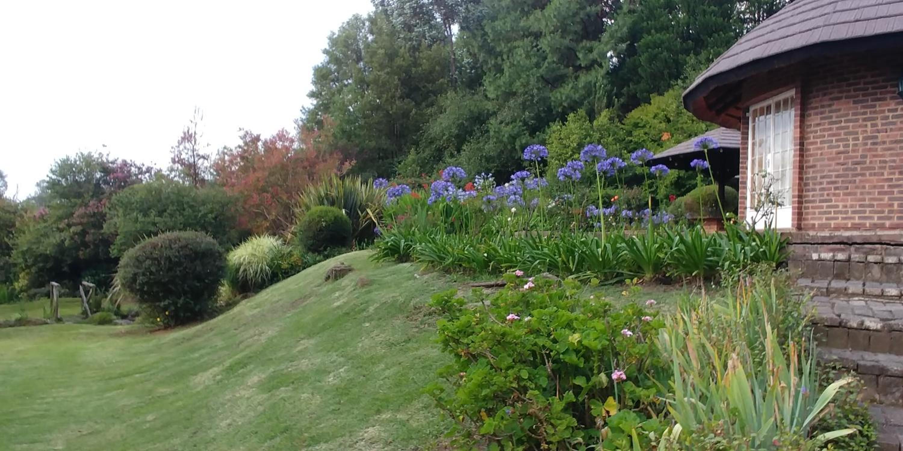 Pin Oak Cottage view 2
