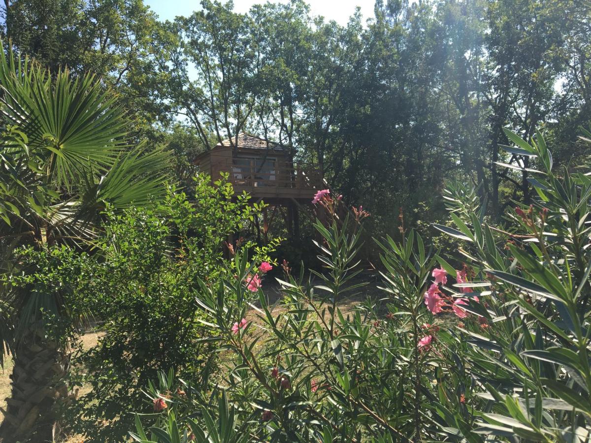 Les Mille Mimosas view 5