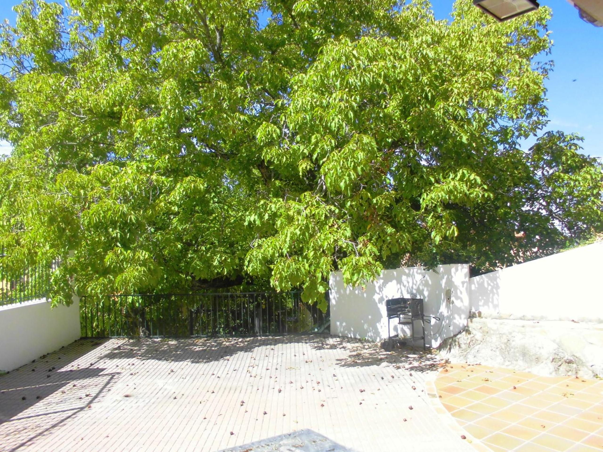Casa Fuente De La Argamasa view 5