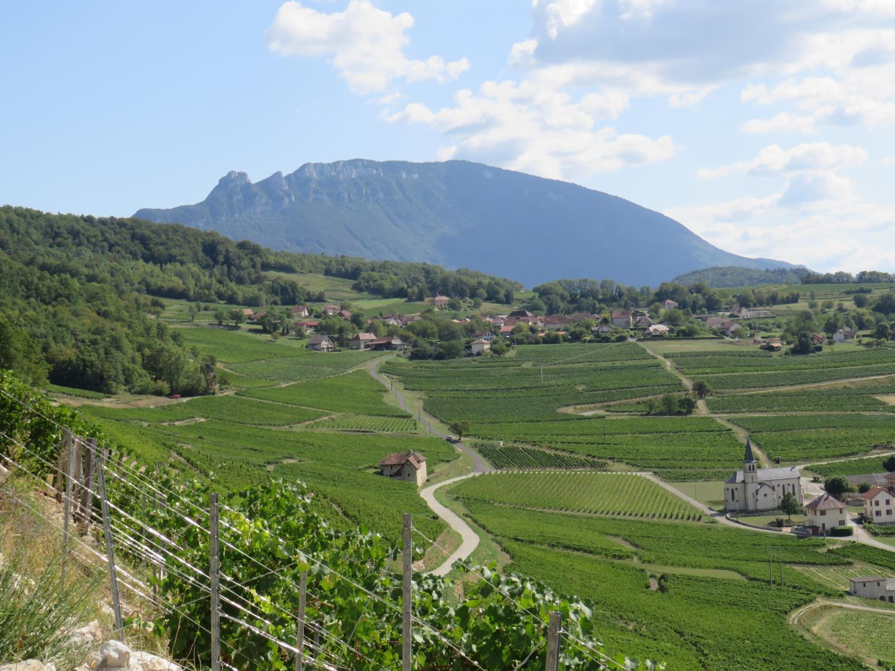 Les chambres du cru view 3