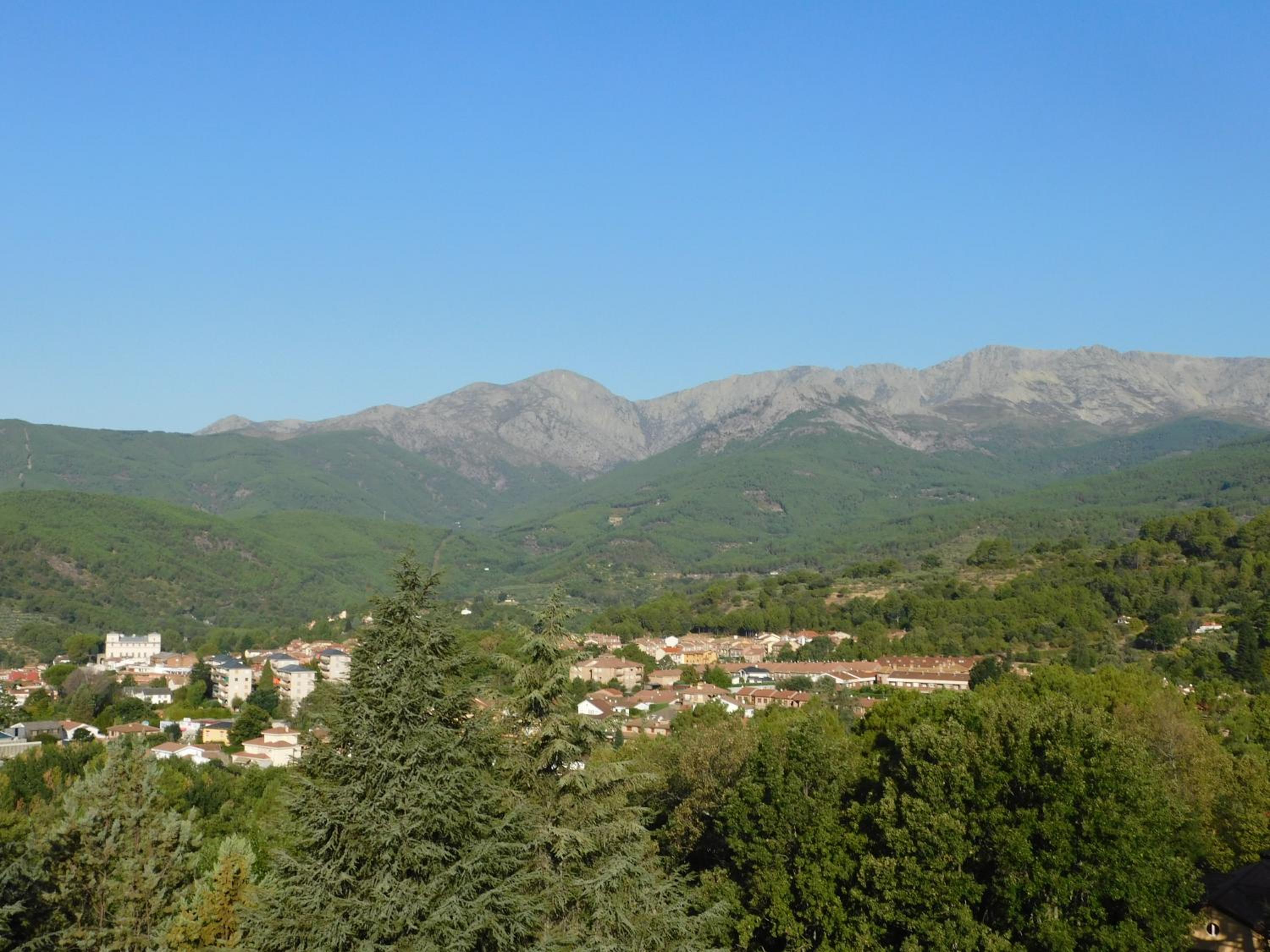 Photo 26