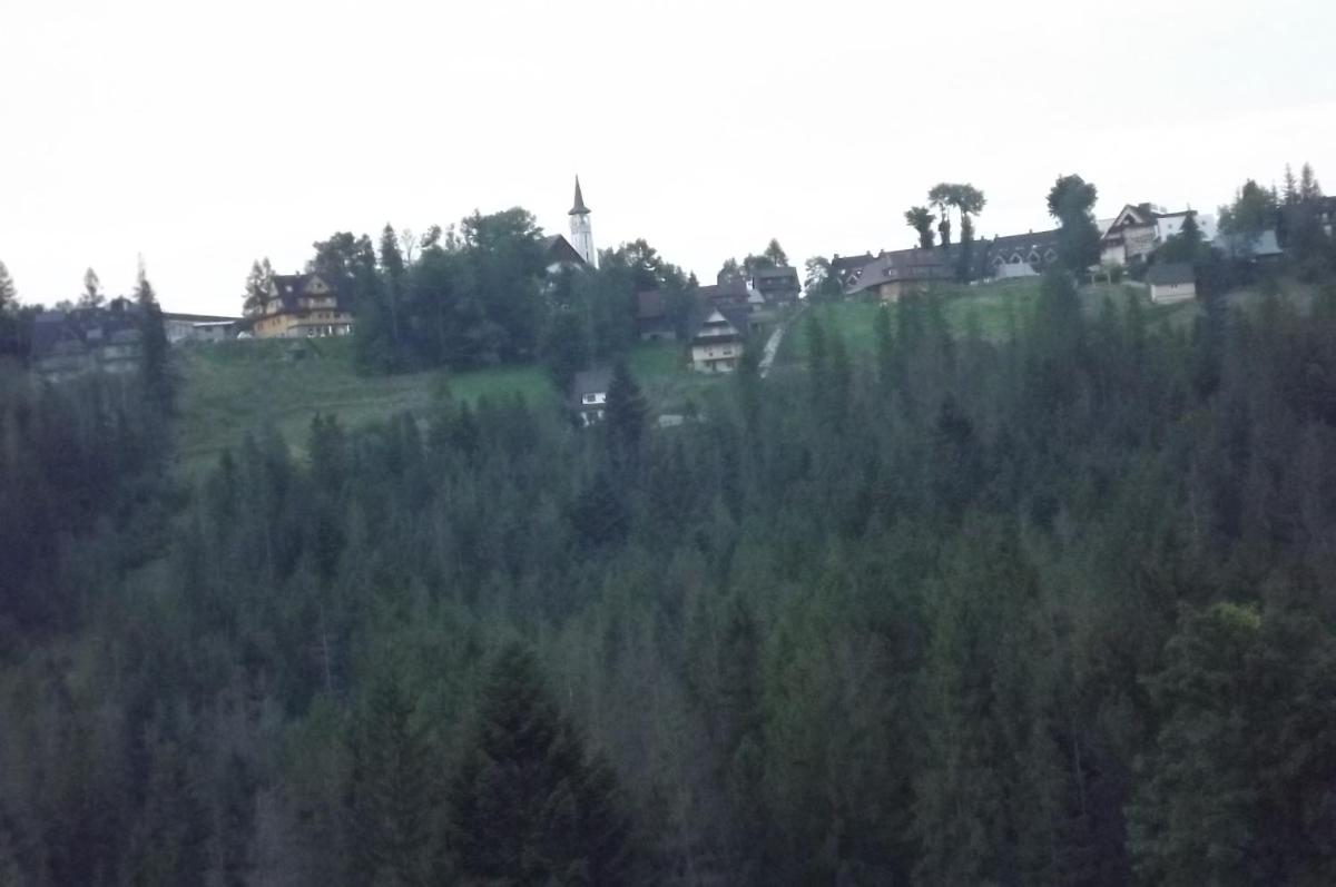 Prymulka view 5