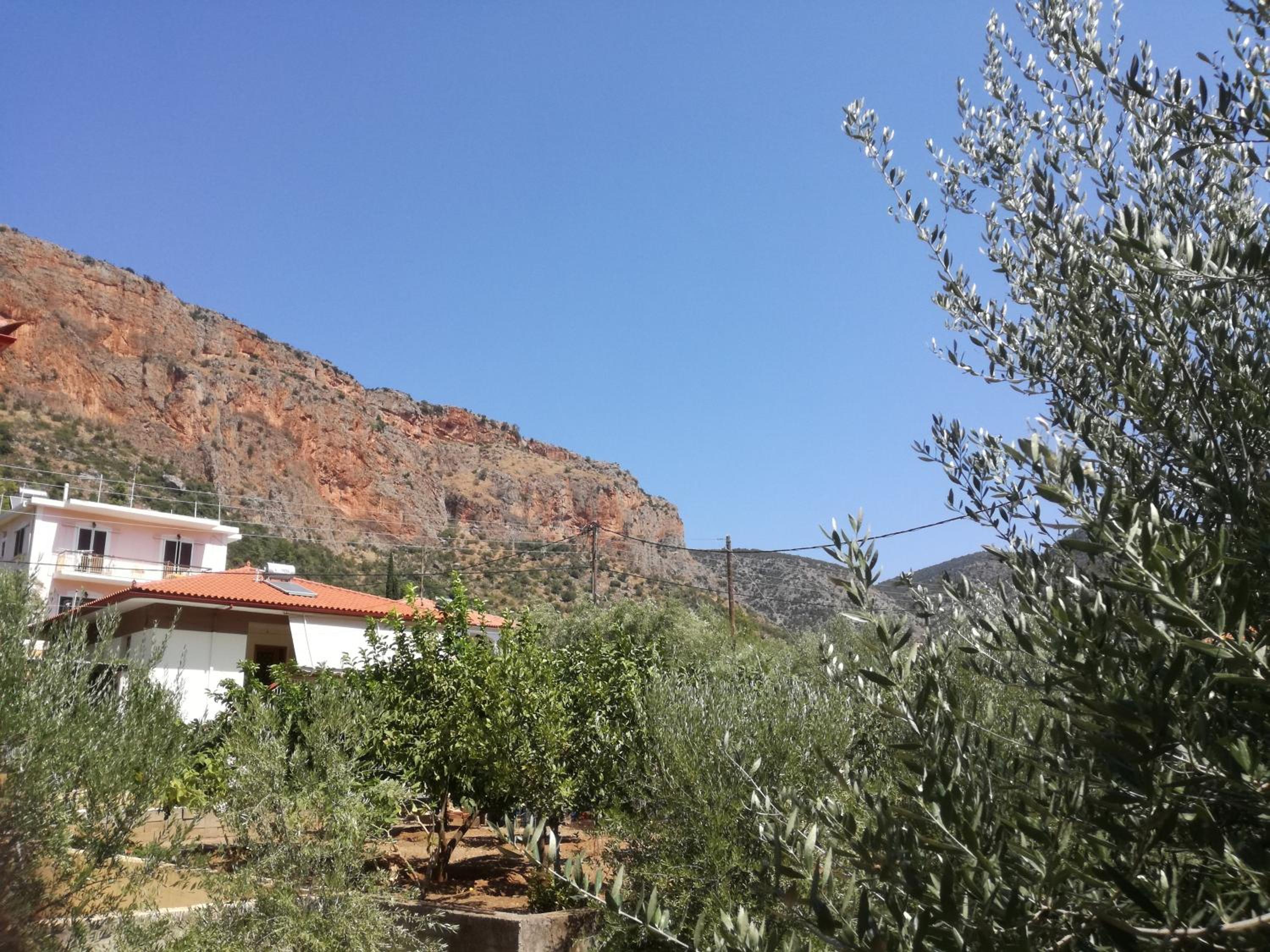 Photo 38