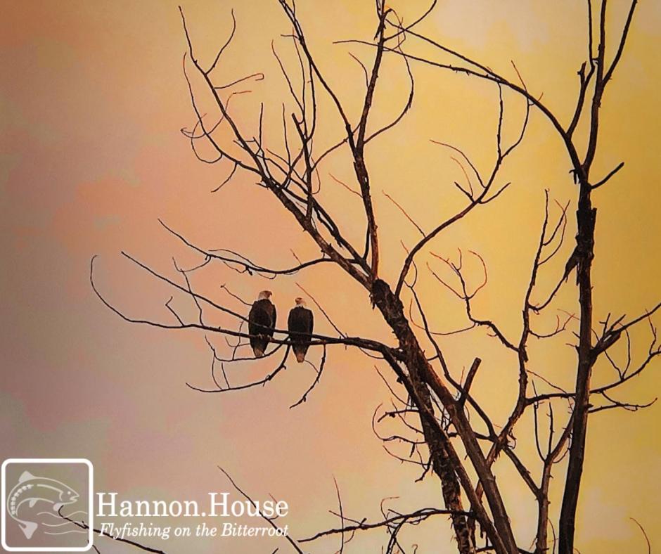 Hannon House