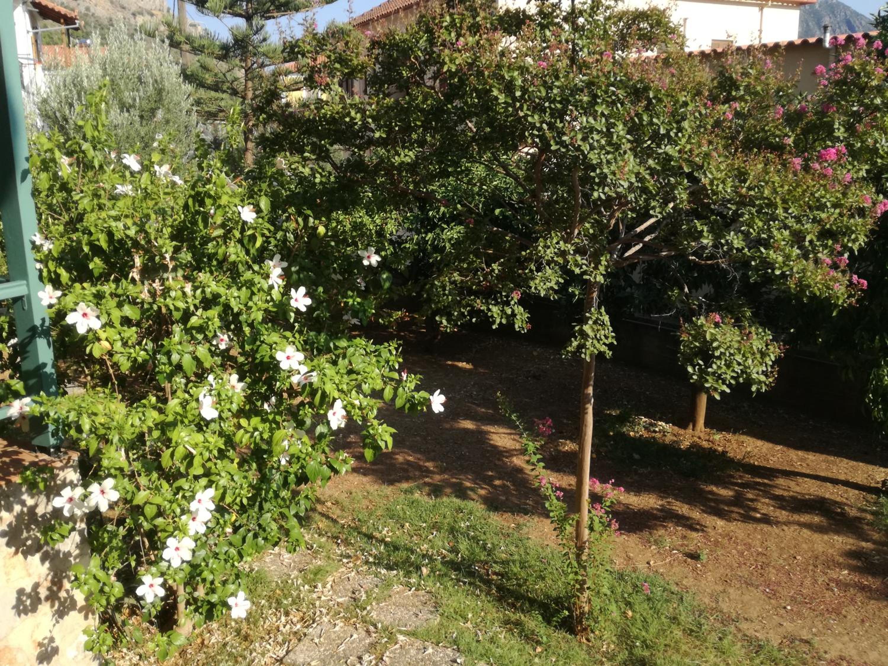 Photo 46