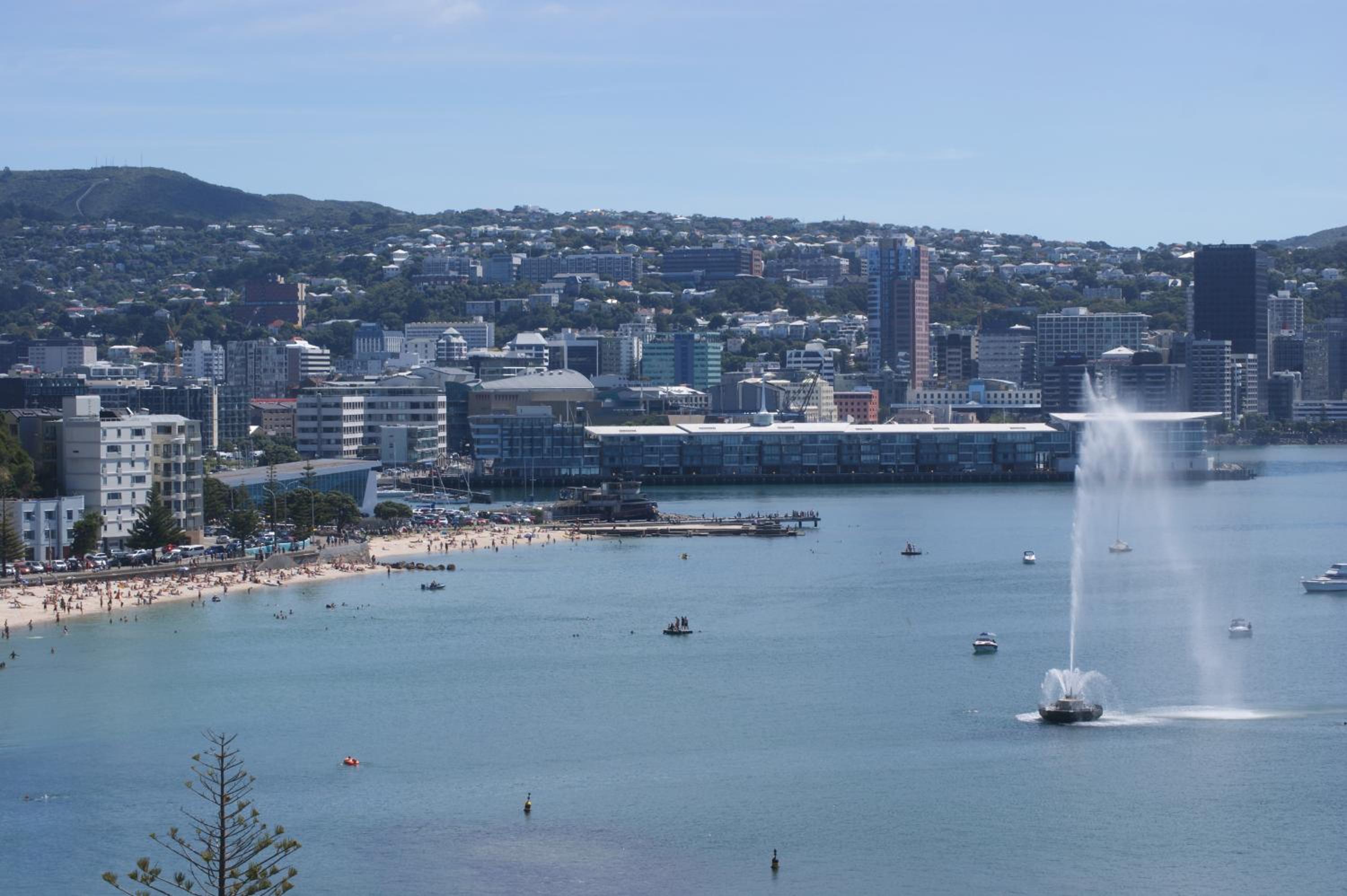 Oriental Bay At Its Best view 2