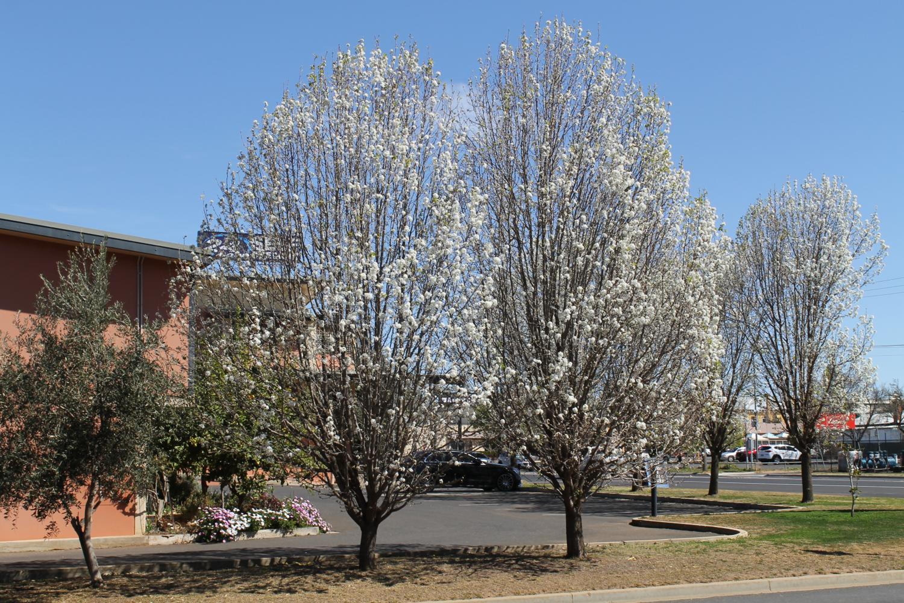 Forbes Victoria Inn