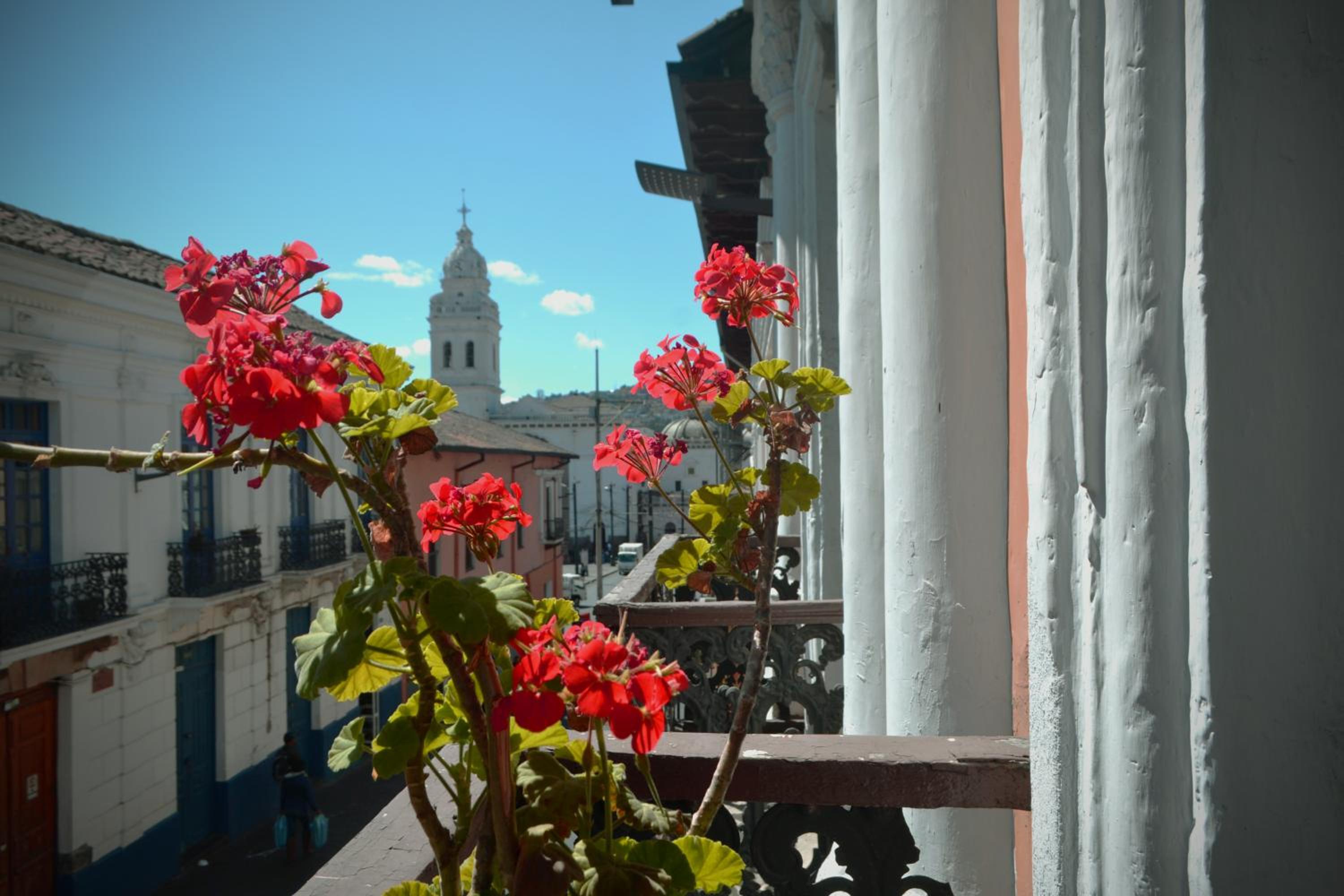 TRAVELER'S HOUSE QUITO view 5